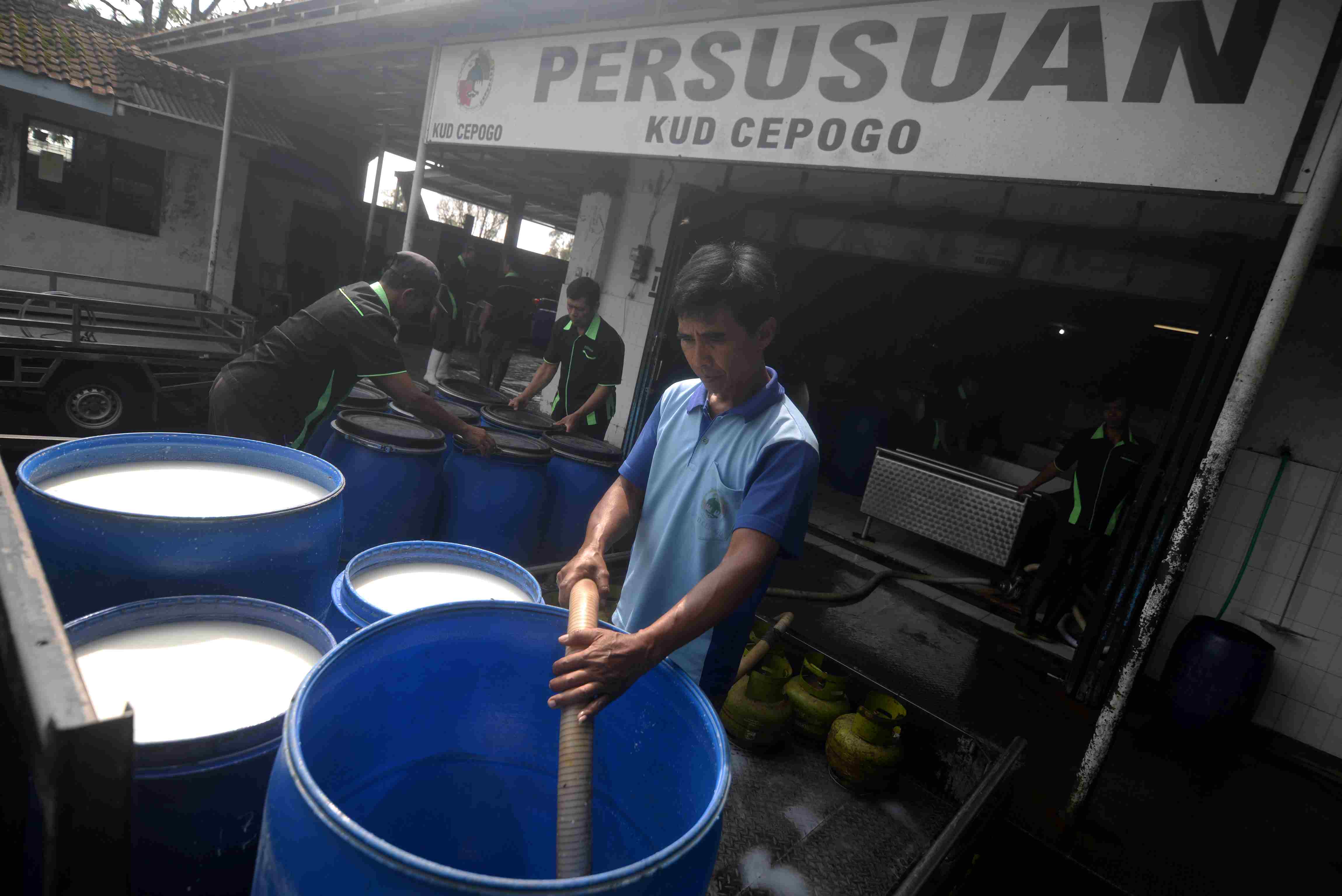 Pemerintah Pastikan Koperasi Desa Merah Putih Berangkat dari Potensi Desa