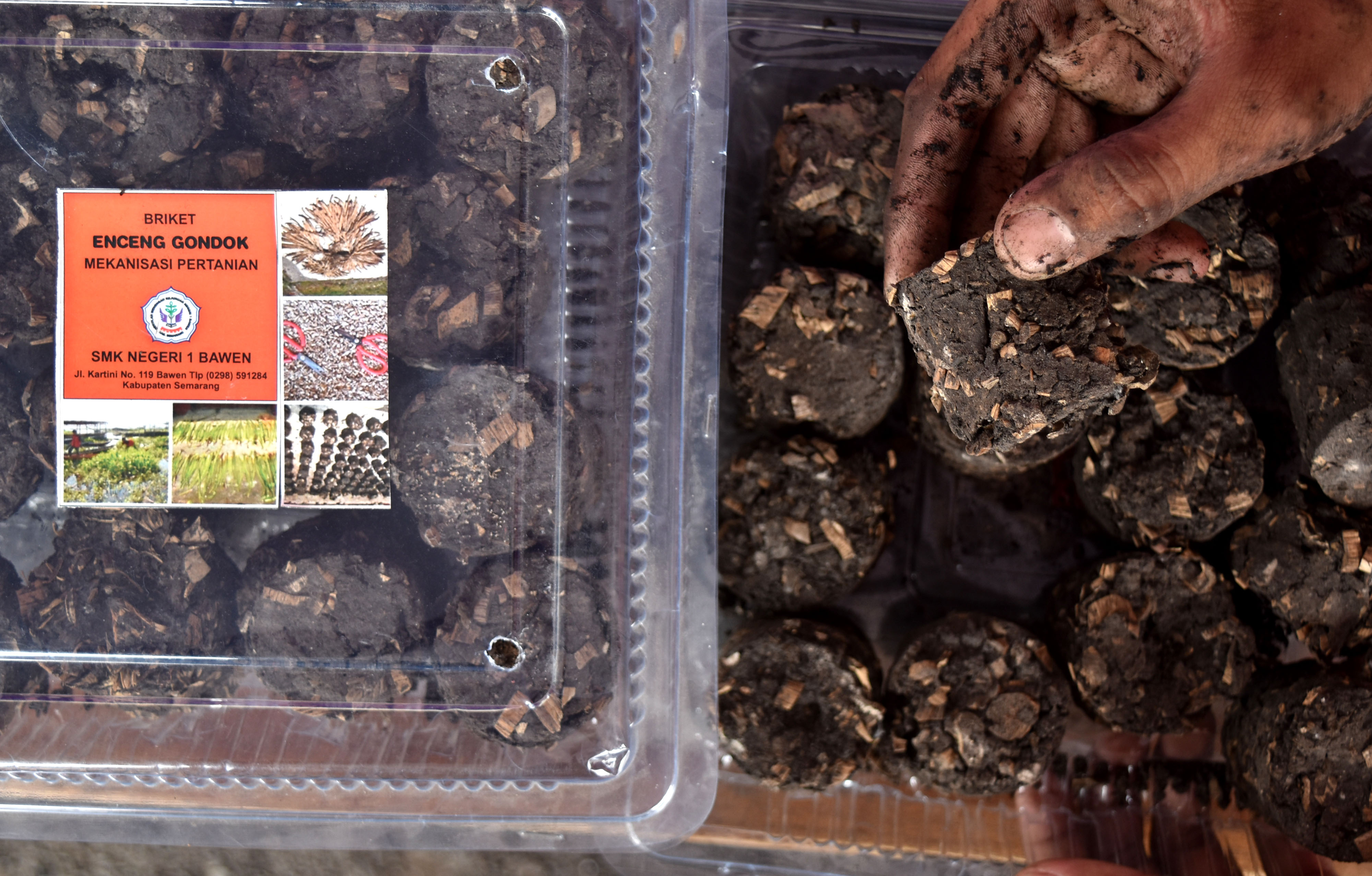 Bahan Bakar Briket dari Eceng Gondok