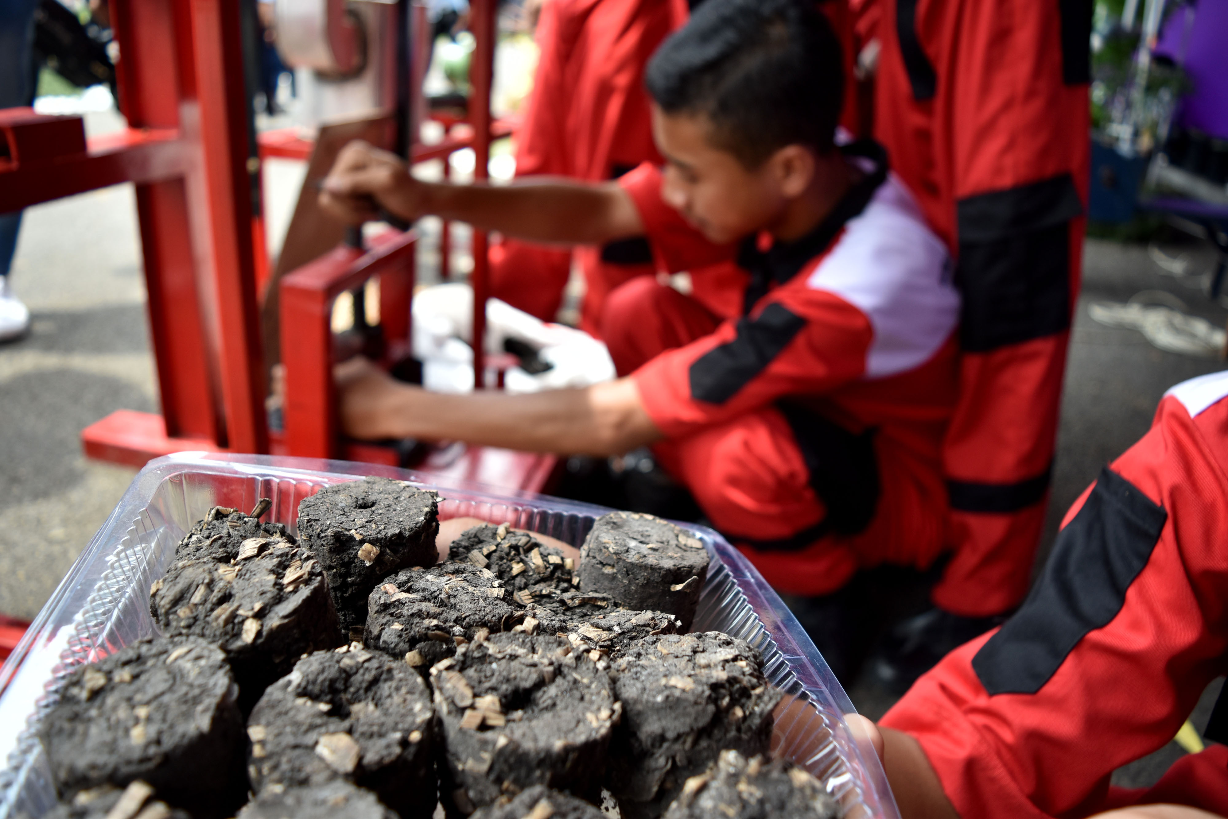 Bahan Bakar Briket dari Eceng Gondok