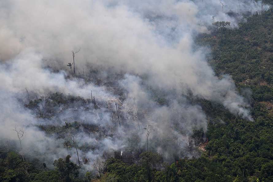 Kebakaran Hutan Amazon Setara 3x Lapangan Bola/Menit