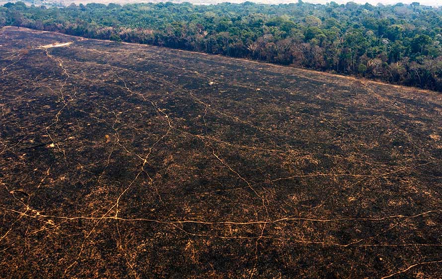Kebakaran Hutan Amazon Setara 3x Lapangan Bola/Menit