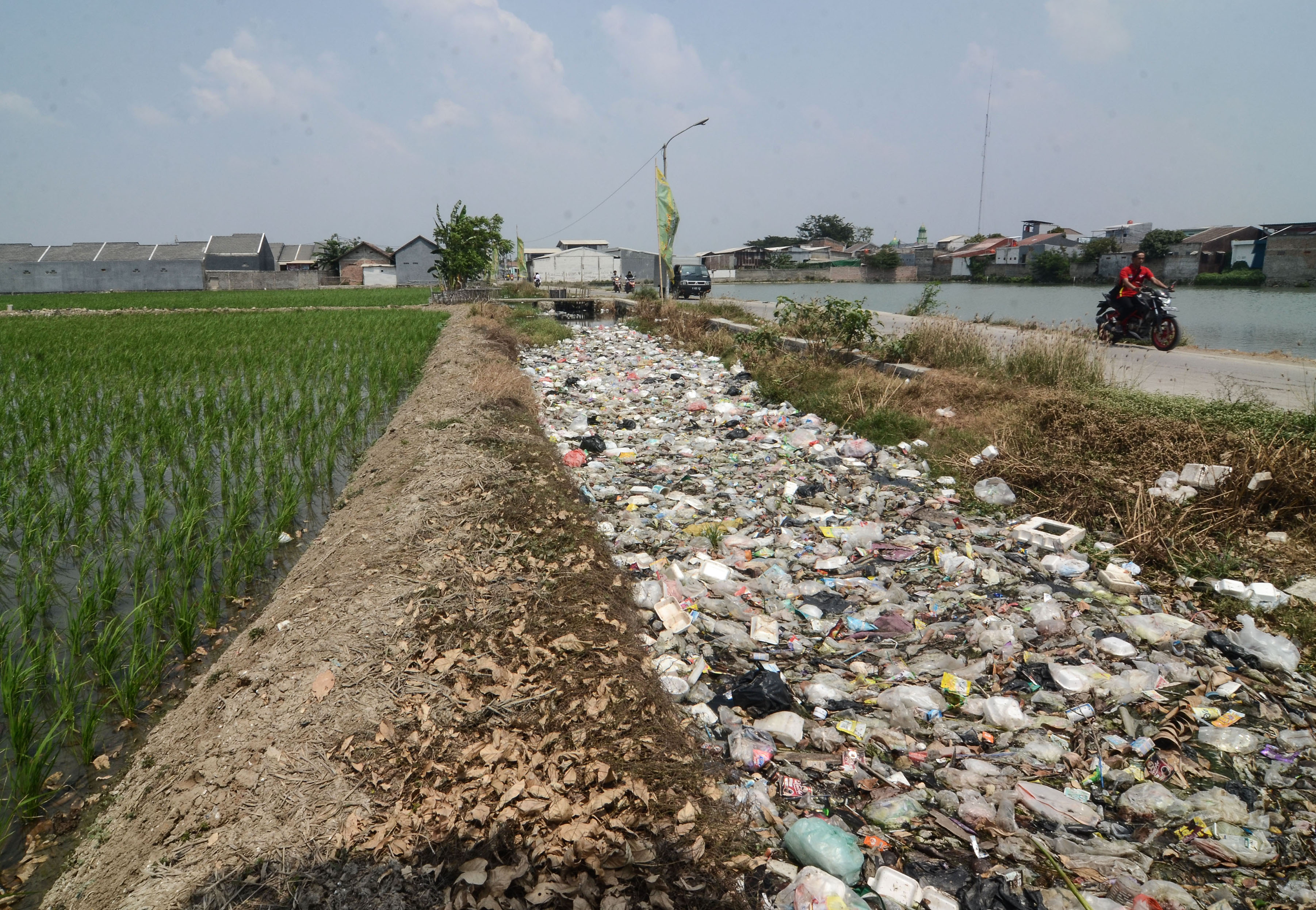 Sampah Penuhi Kali Busa Bekasi