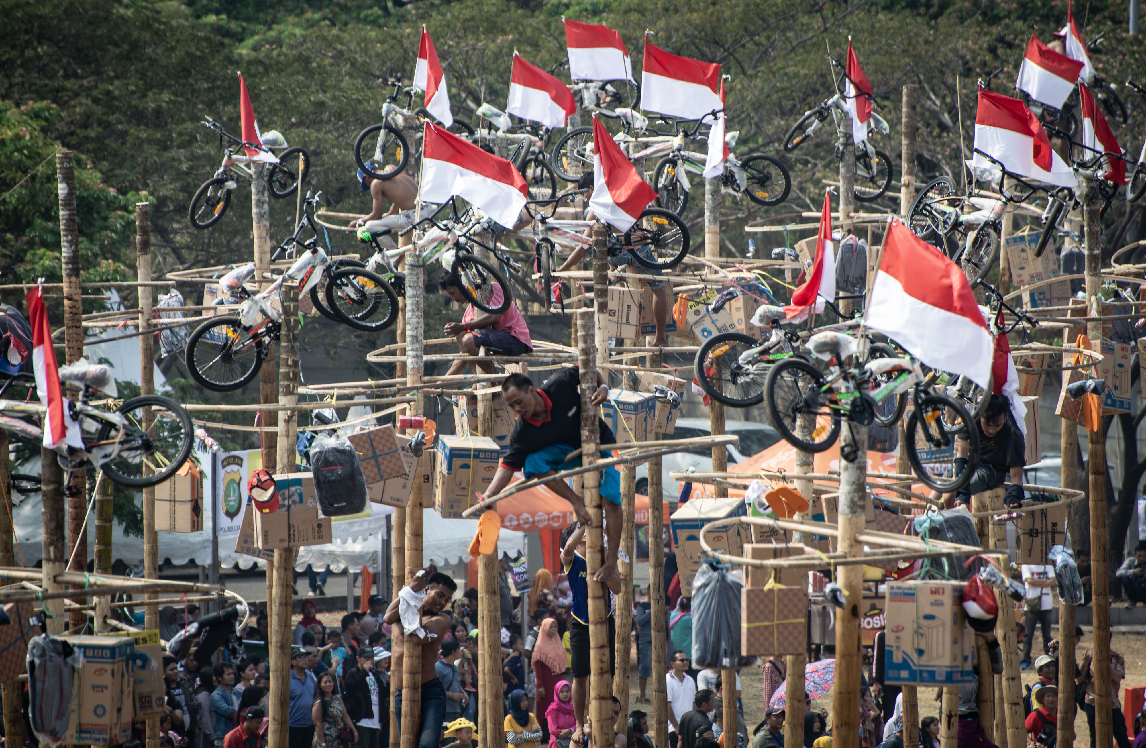 Panjat Pinang Kolosal