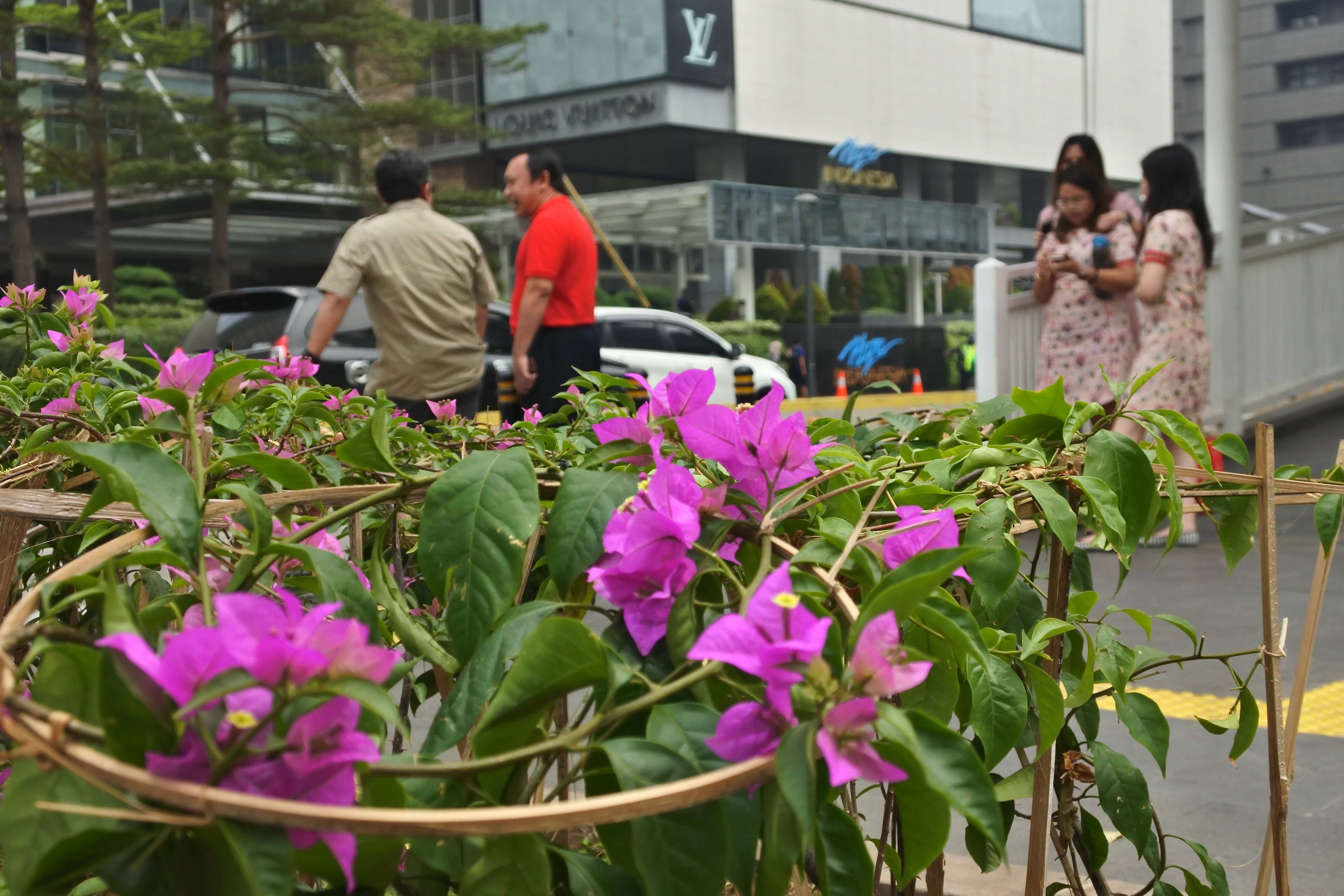 Bunga Bougenville Hiasi Kawasan Bundaran HI