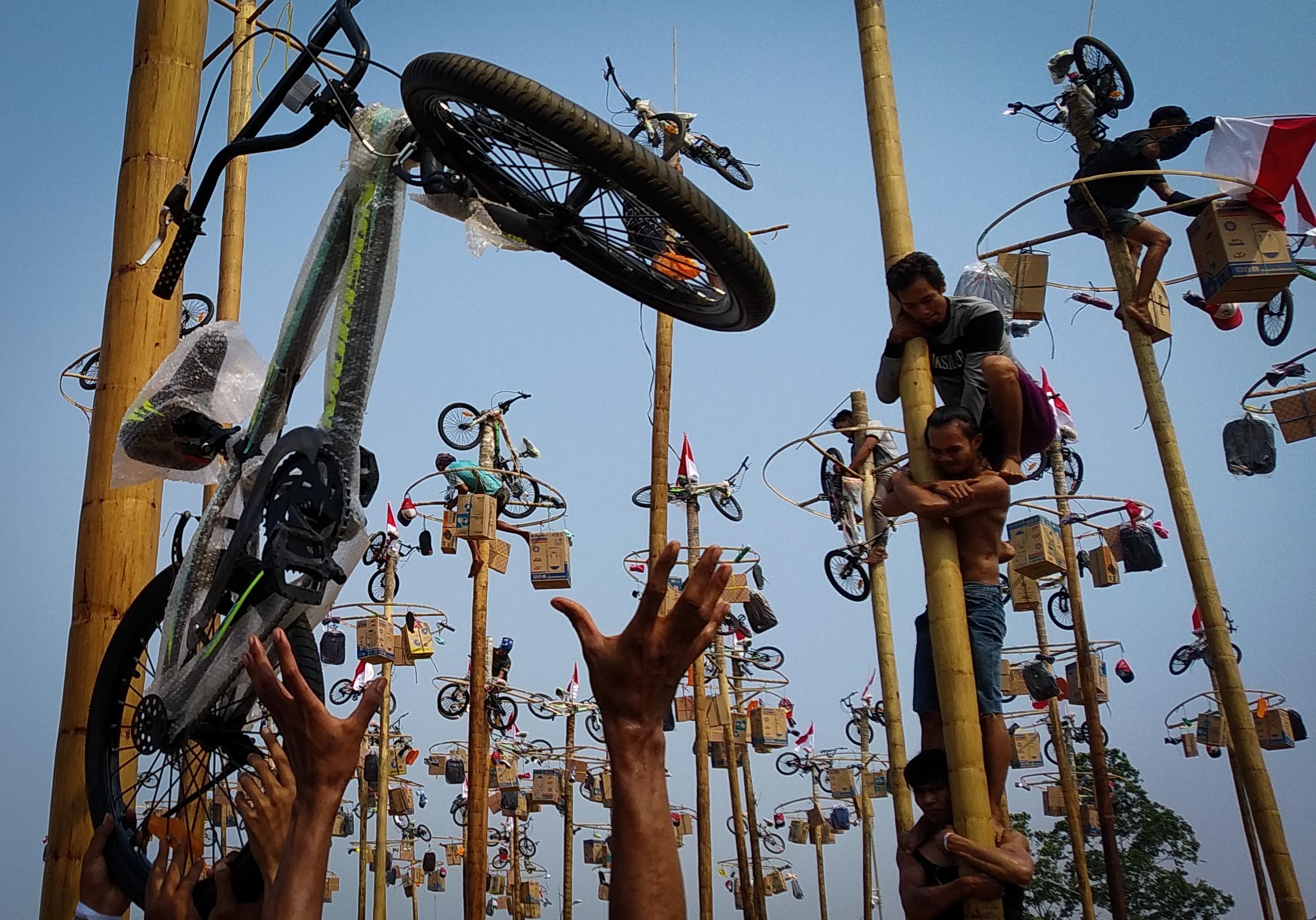 Panjat Pinang Kolosal