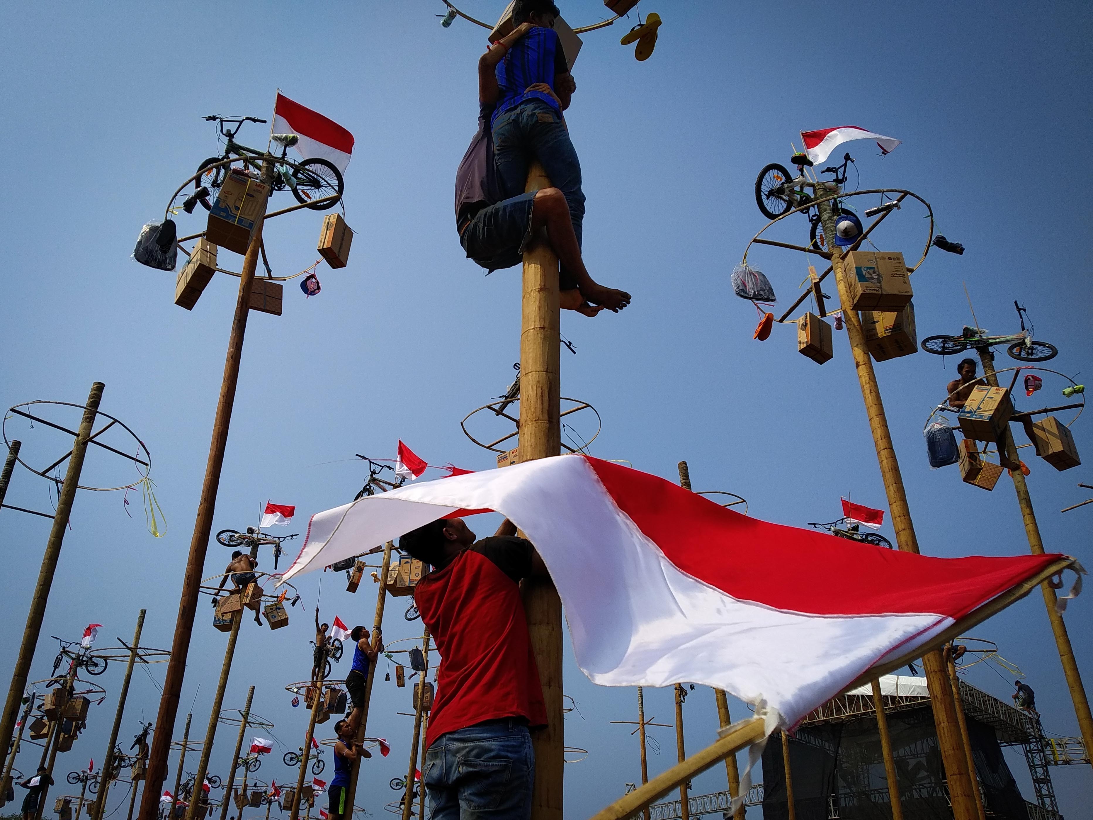 Panjat Pinang Kolosal