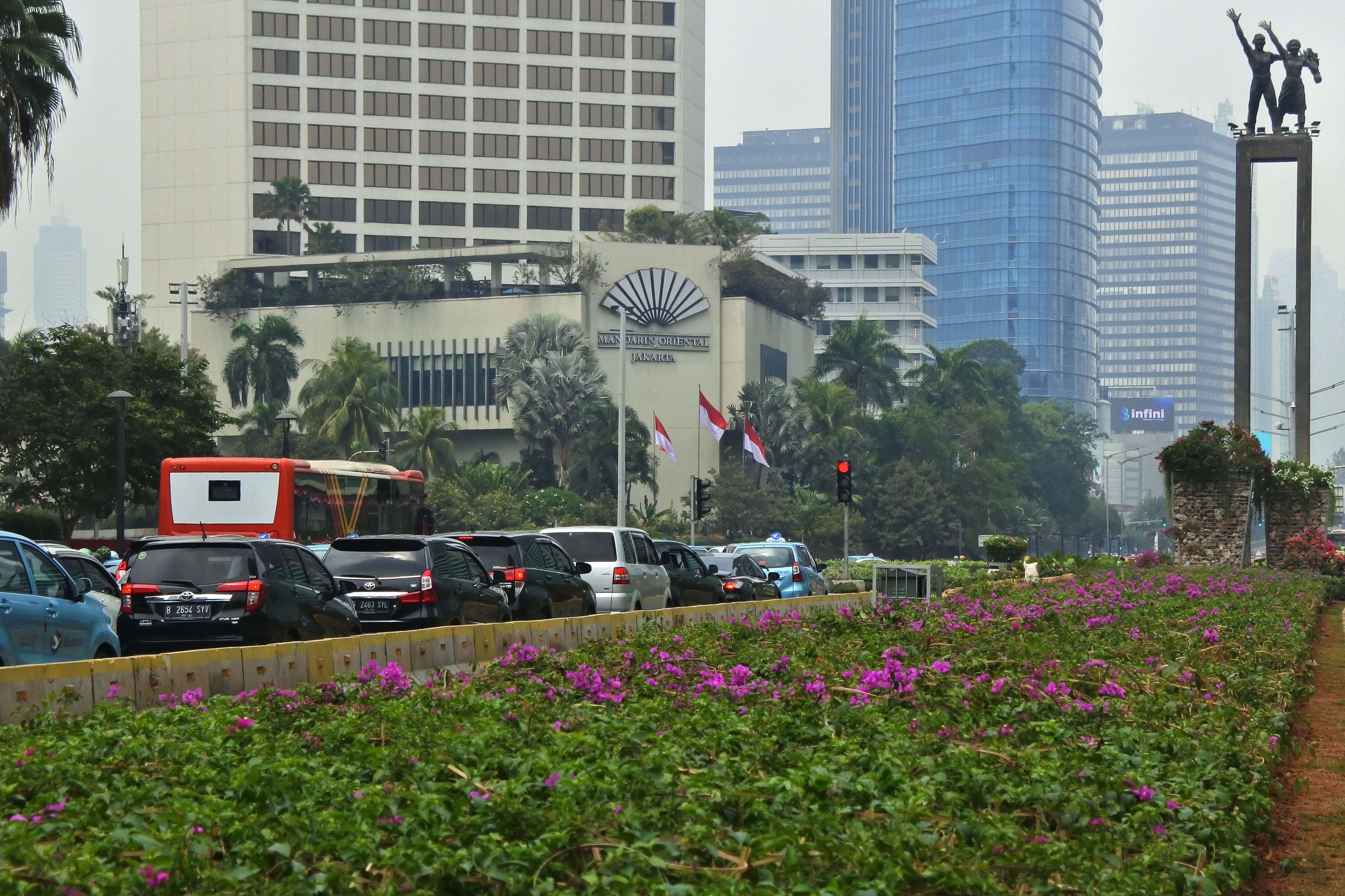 Bunga Bougenville Hiasi Kawasan Bundaran HI