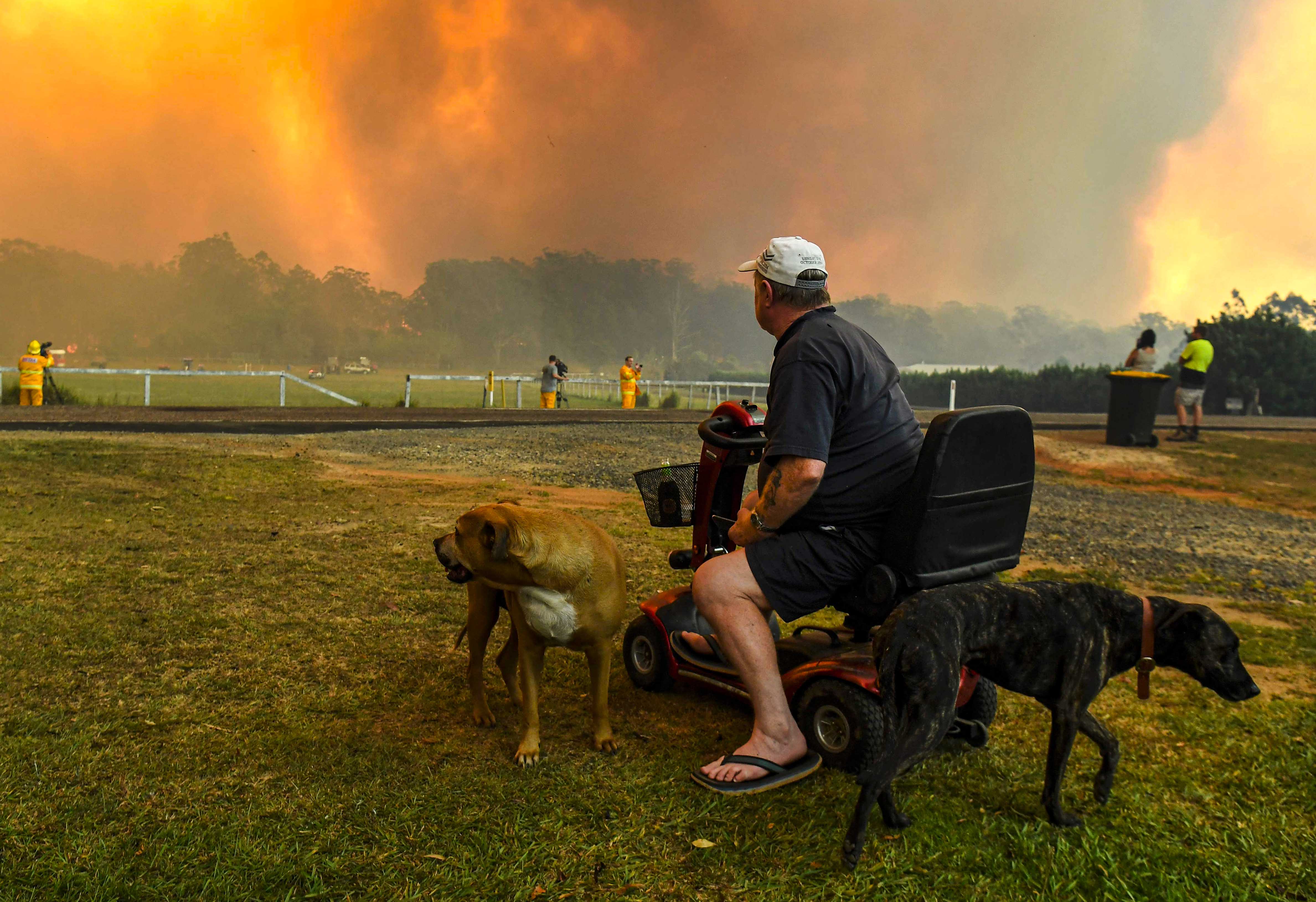 Kebakaran Hutan di Sydney