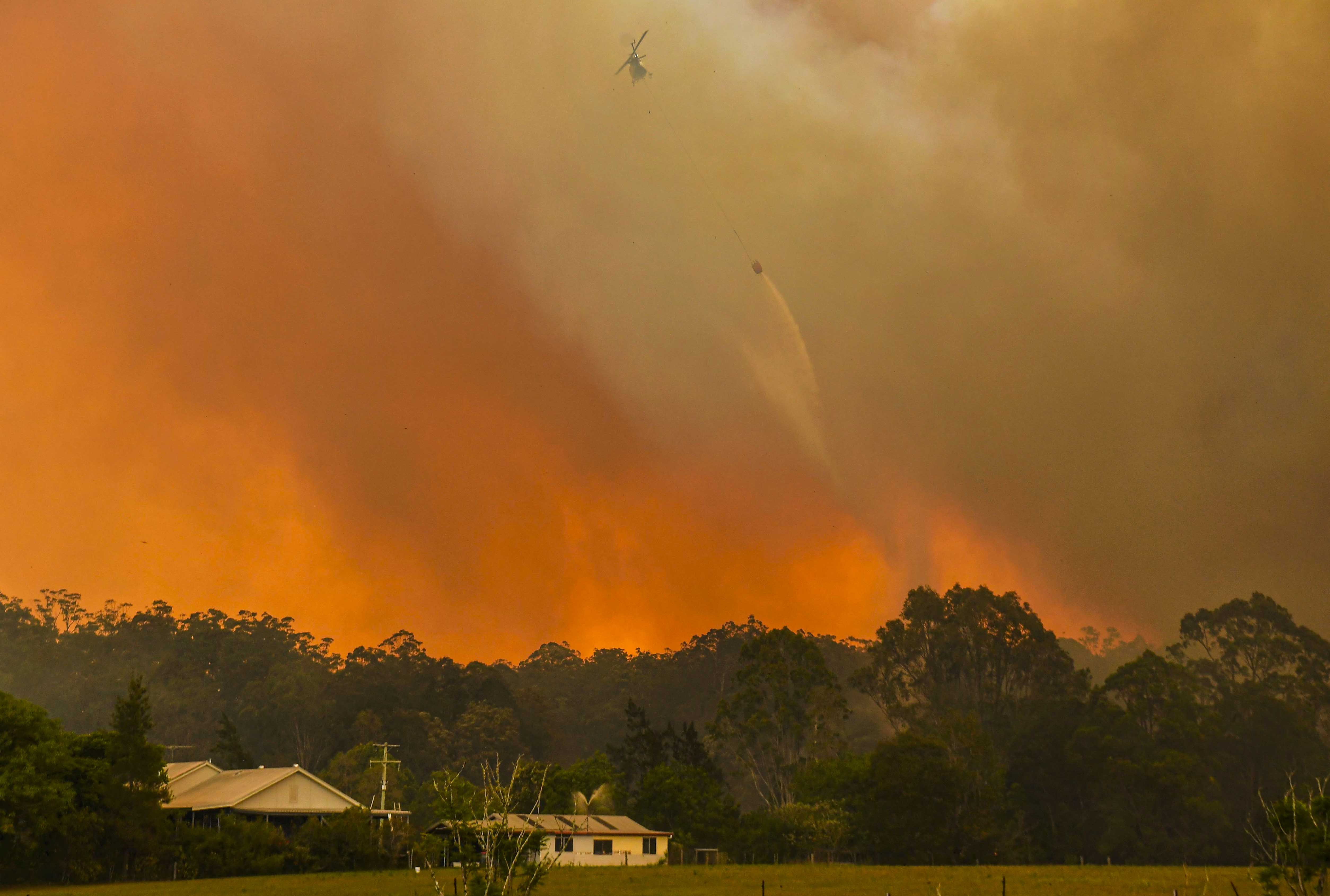 Kebakaran Hutan di Sydney