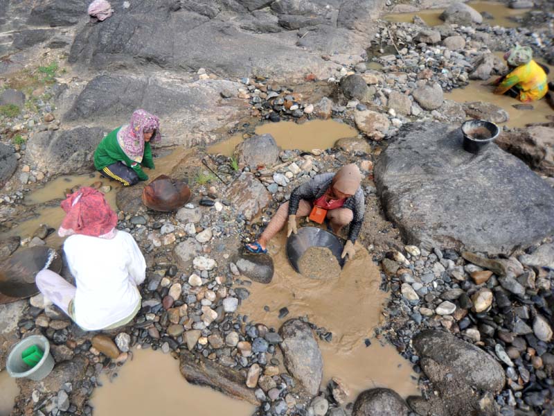 Penambang emas Tradisional