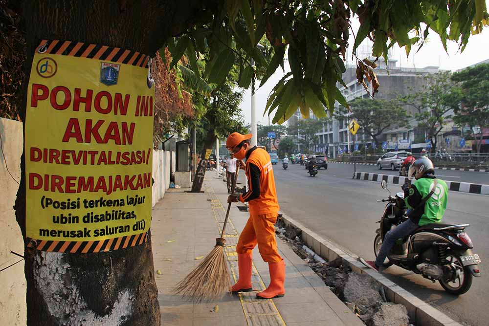 Peremajaan Pohon Ibu Kota