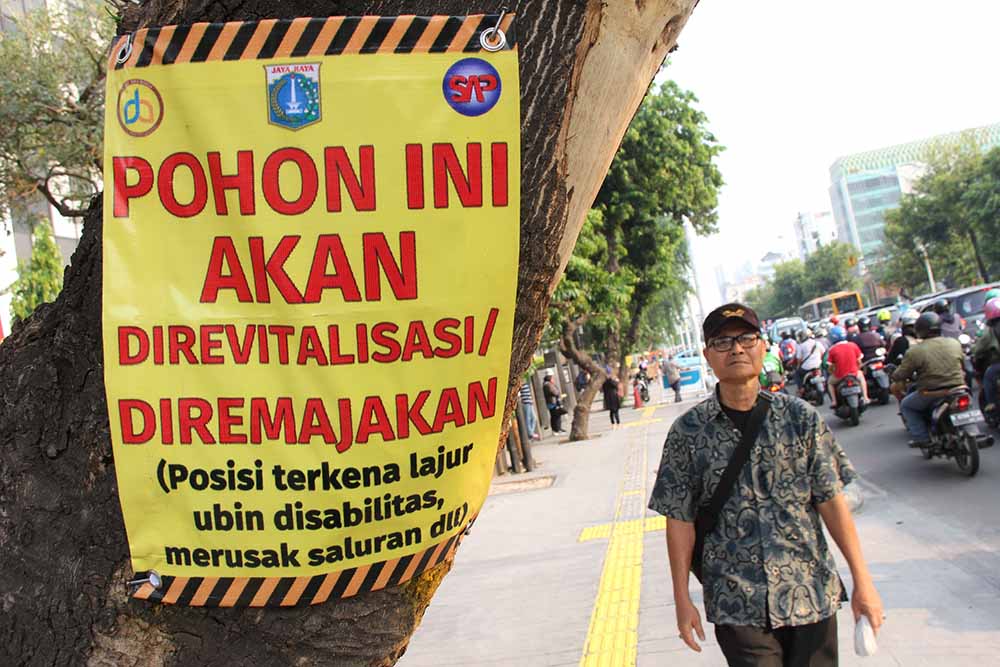 Peremajaan Pohon Ibu Kota