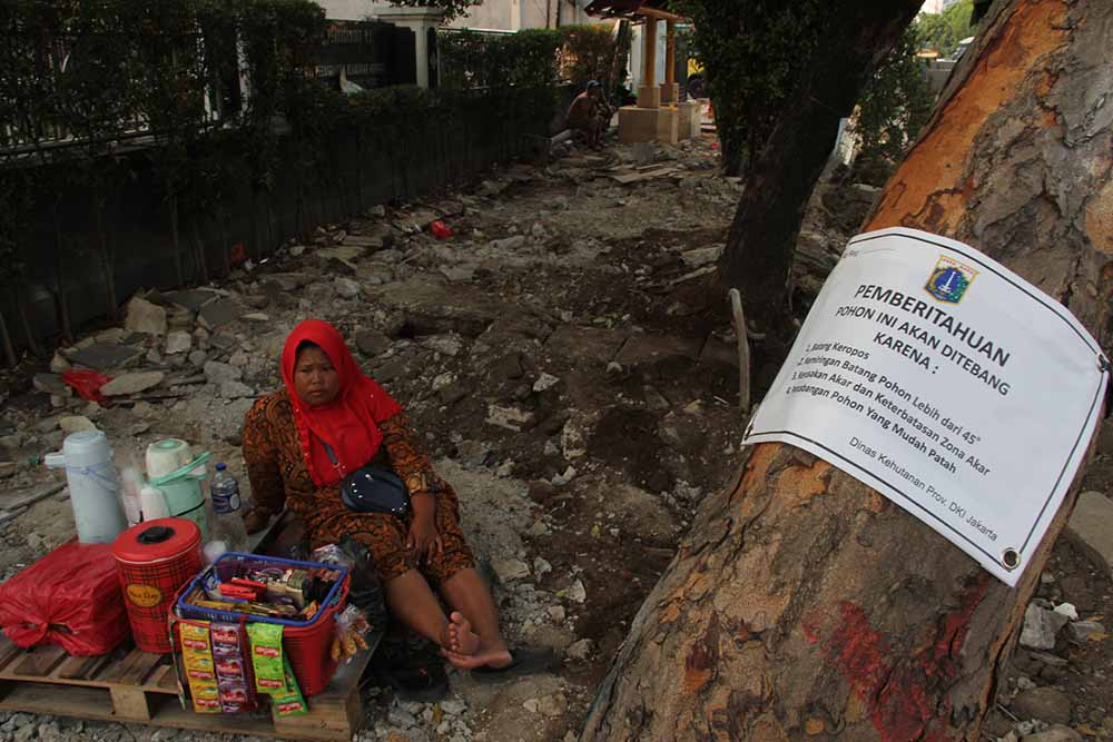 Peremajaan Pohon Ibu Kota