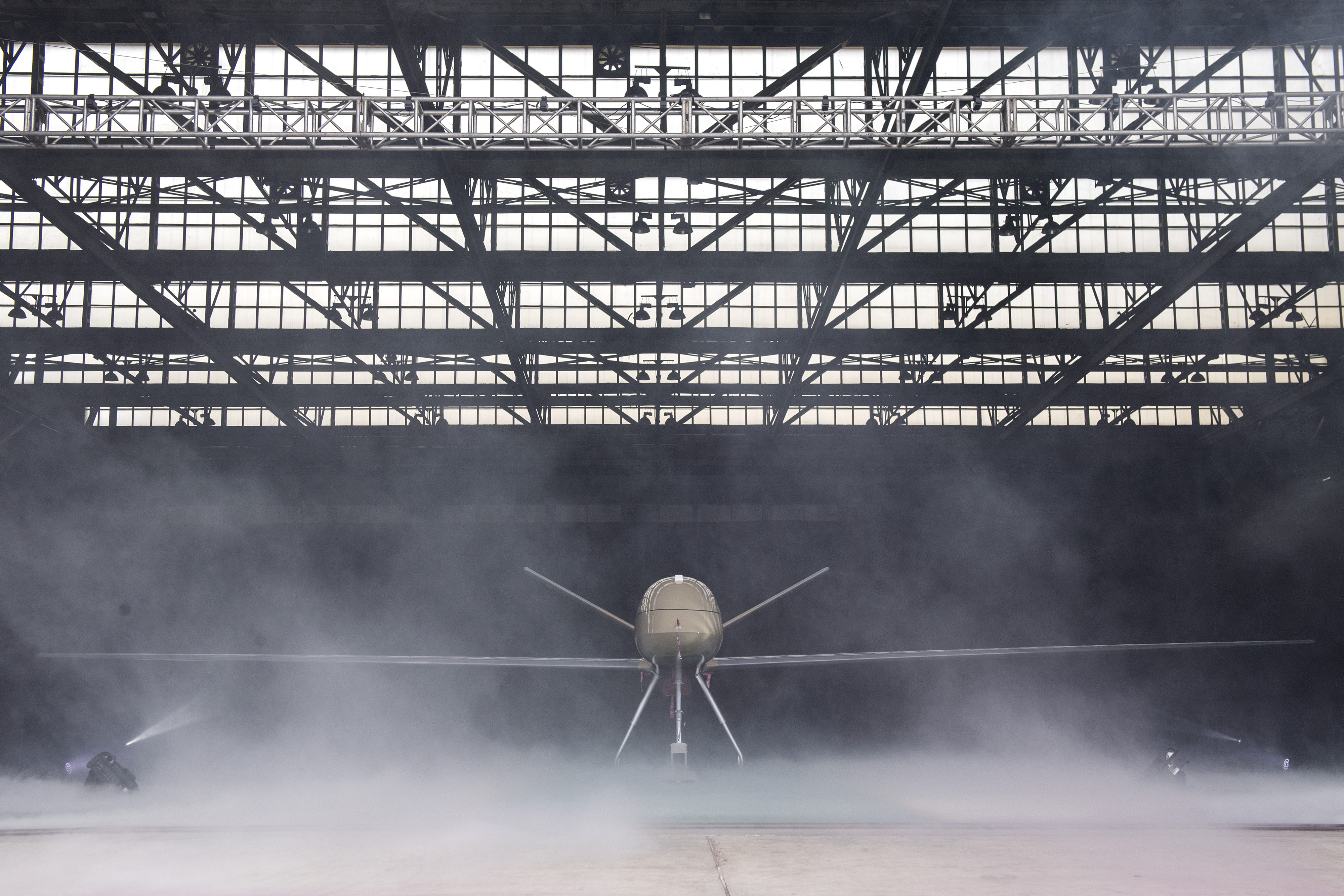 Pengenalan PUNA MALE