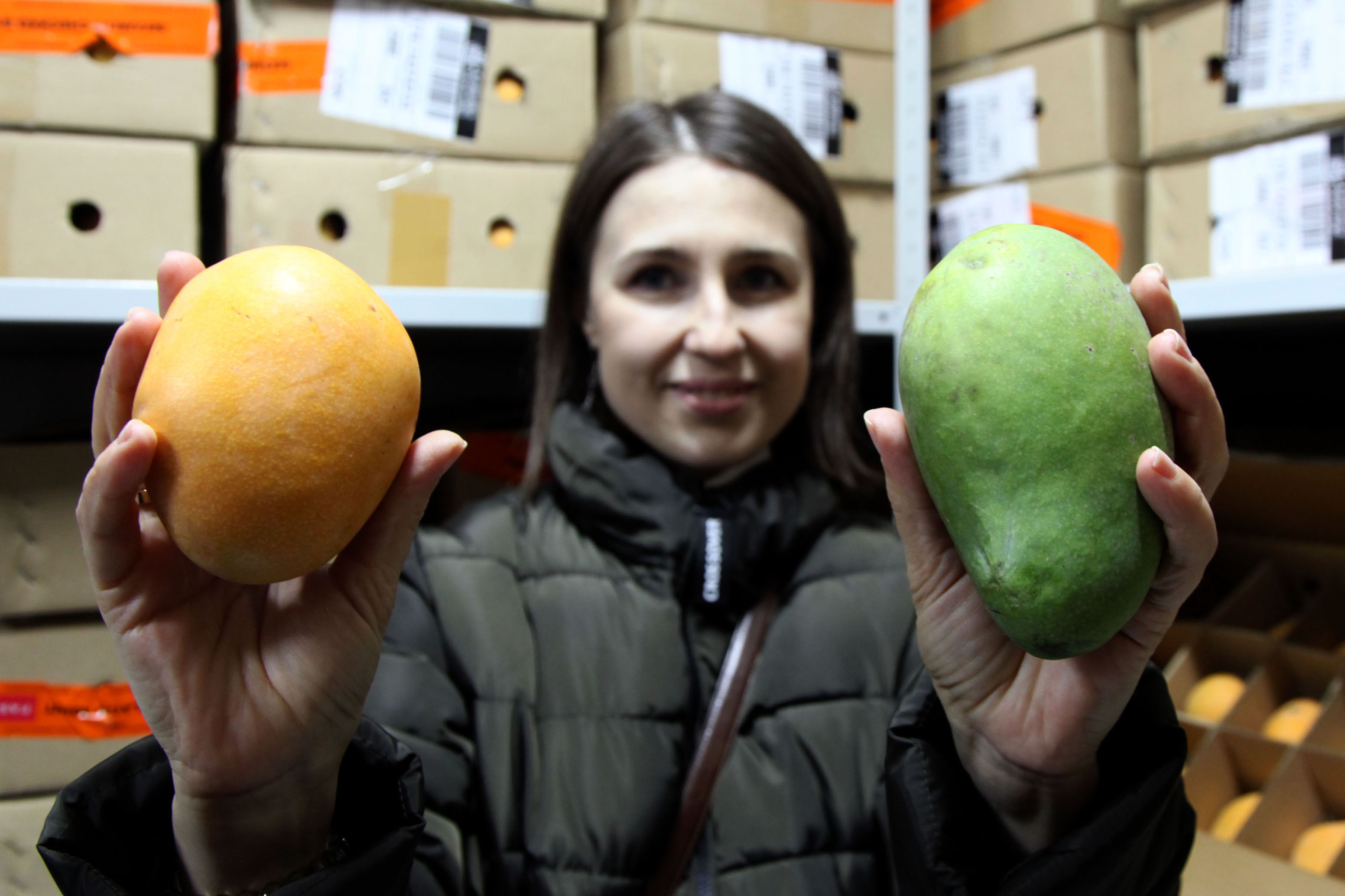 Mangga Sumedang Masuk Rusia