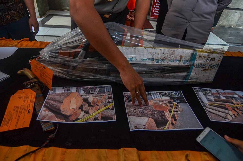 Pengungkapan Pembalakan Liar