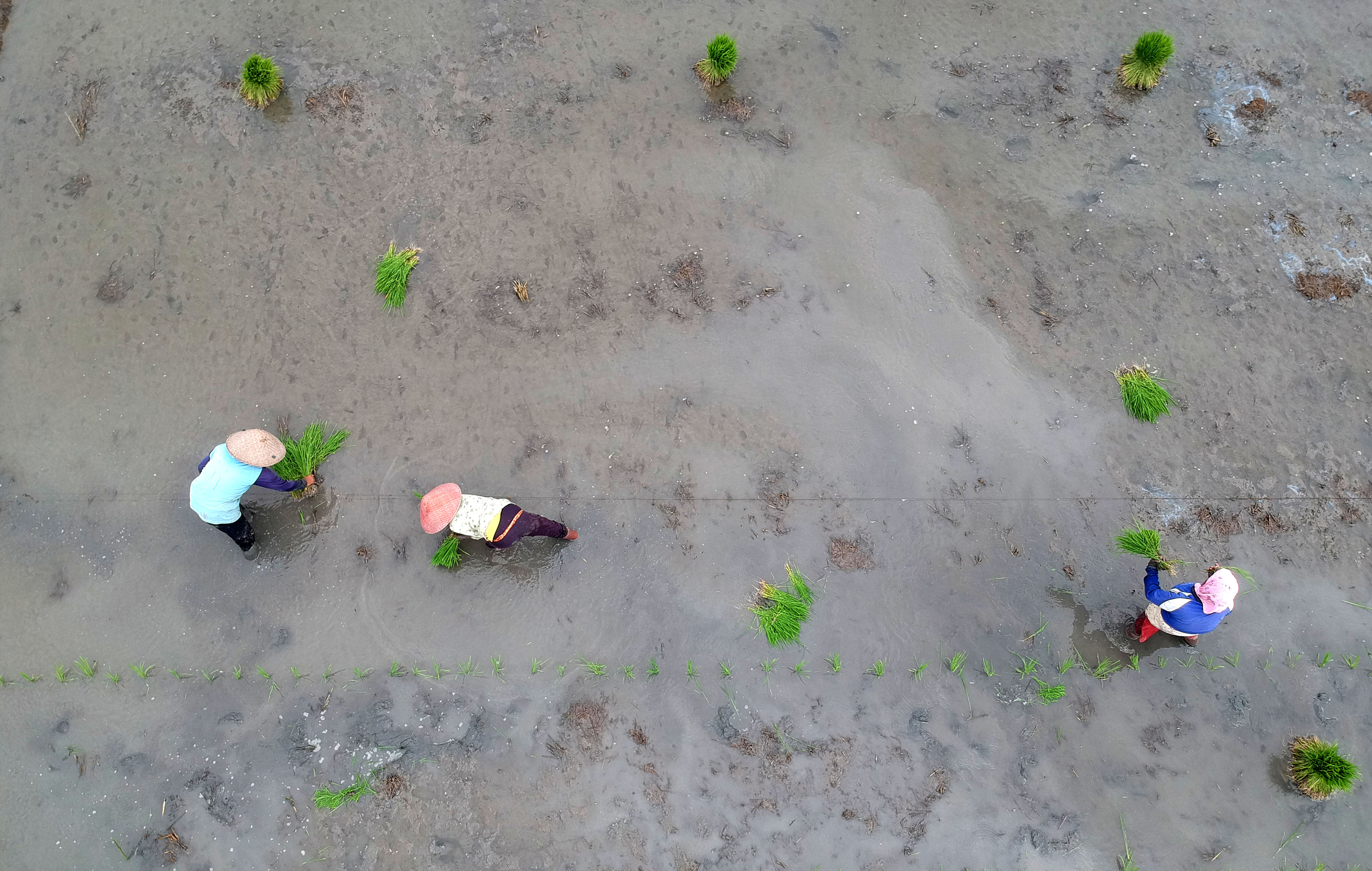 Target Cetak Sawah Tahun 2020 Naik