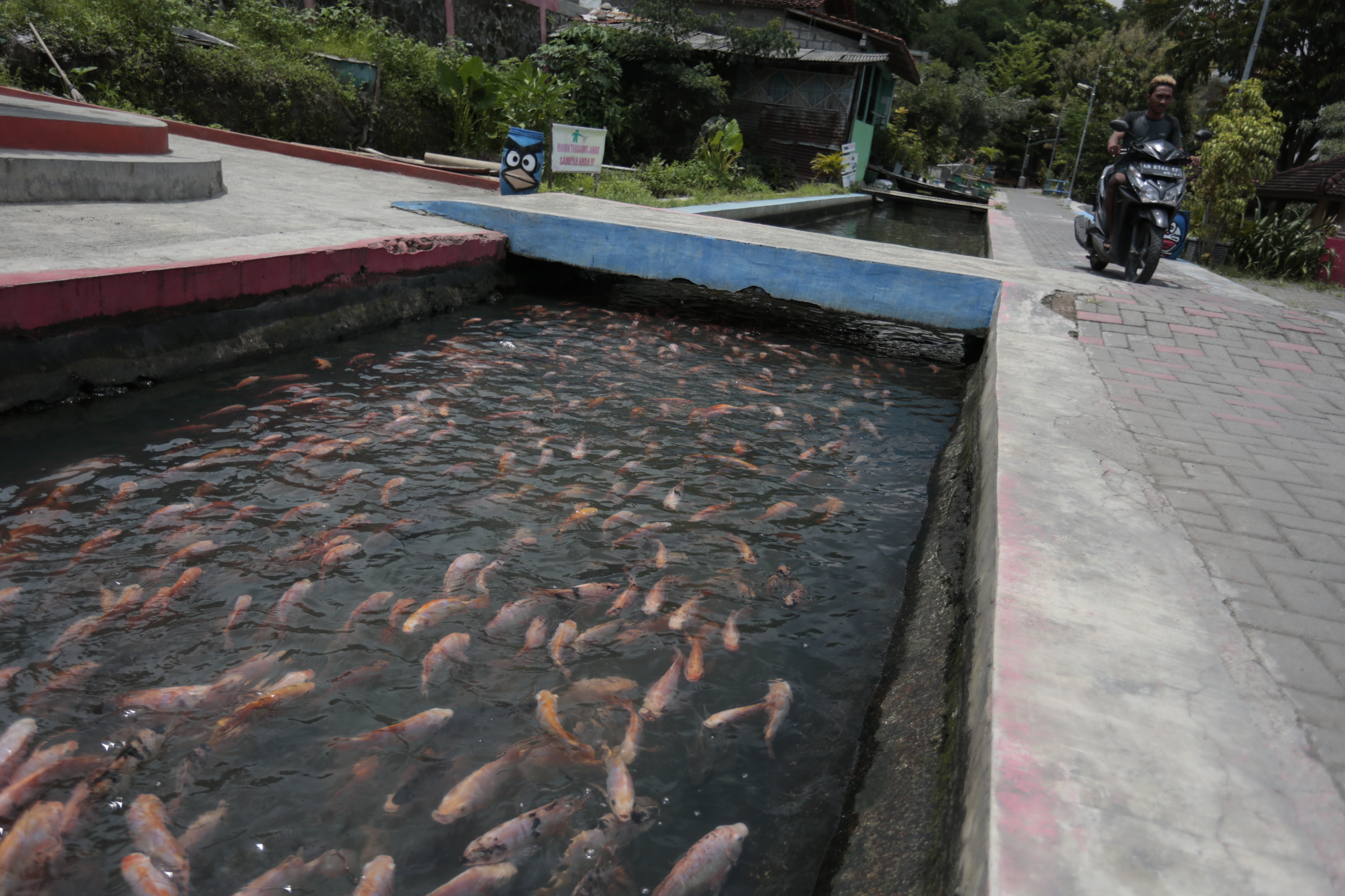 Pemanfaatan Bantaran Sungai