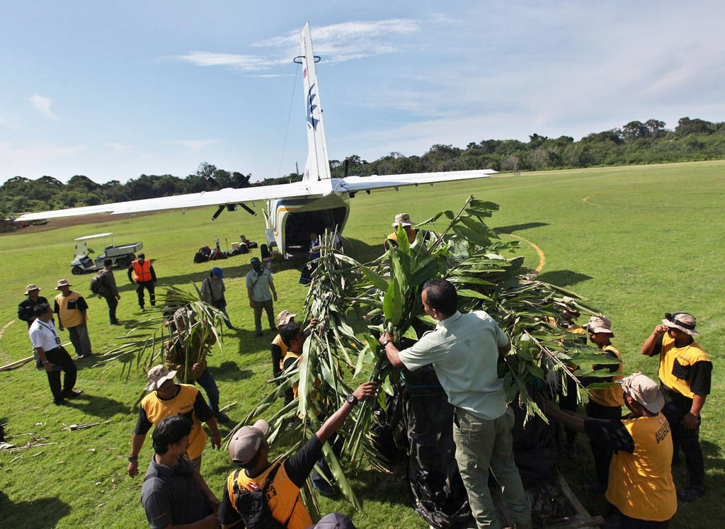 Translokasi Harimau Sumatra ke TWNC Lampung 