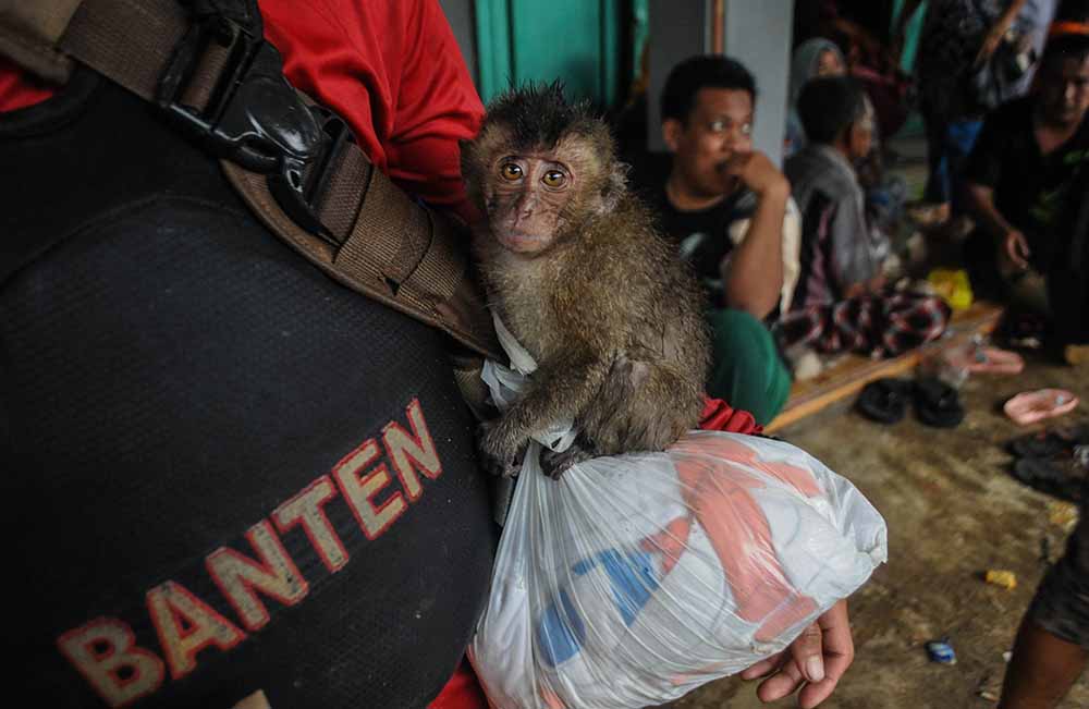 Bencana Longsor di Lebak Banten
