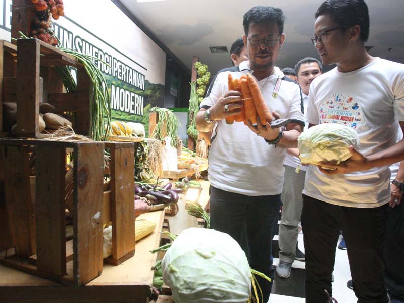 Menteri Pertanian Pastikan Stok Pangan Aman