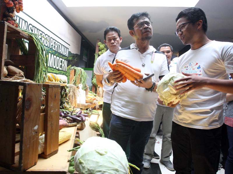 Menteri Pertanian Pastikan Stok Pangan Aman