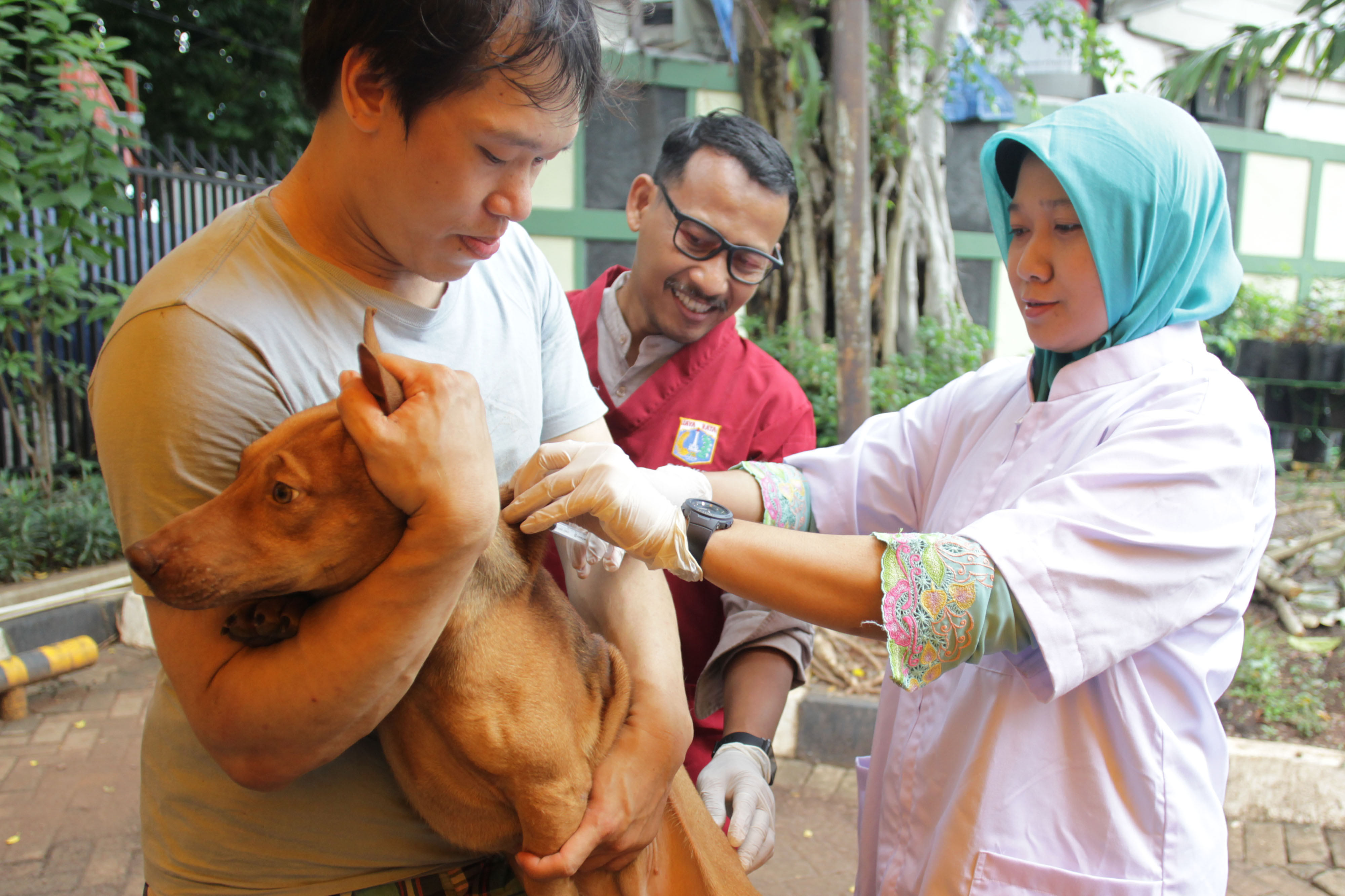 Pemeriksaan Hewan Terdampak Banjir