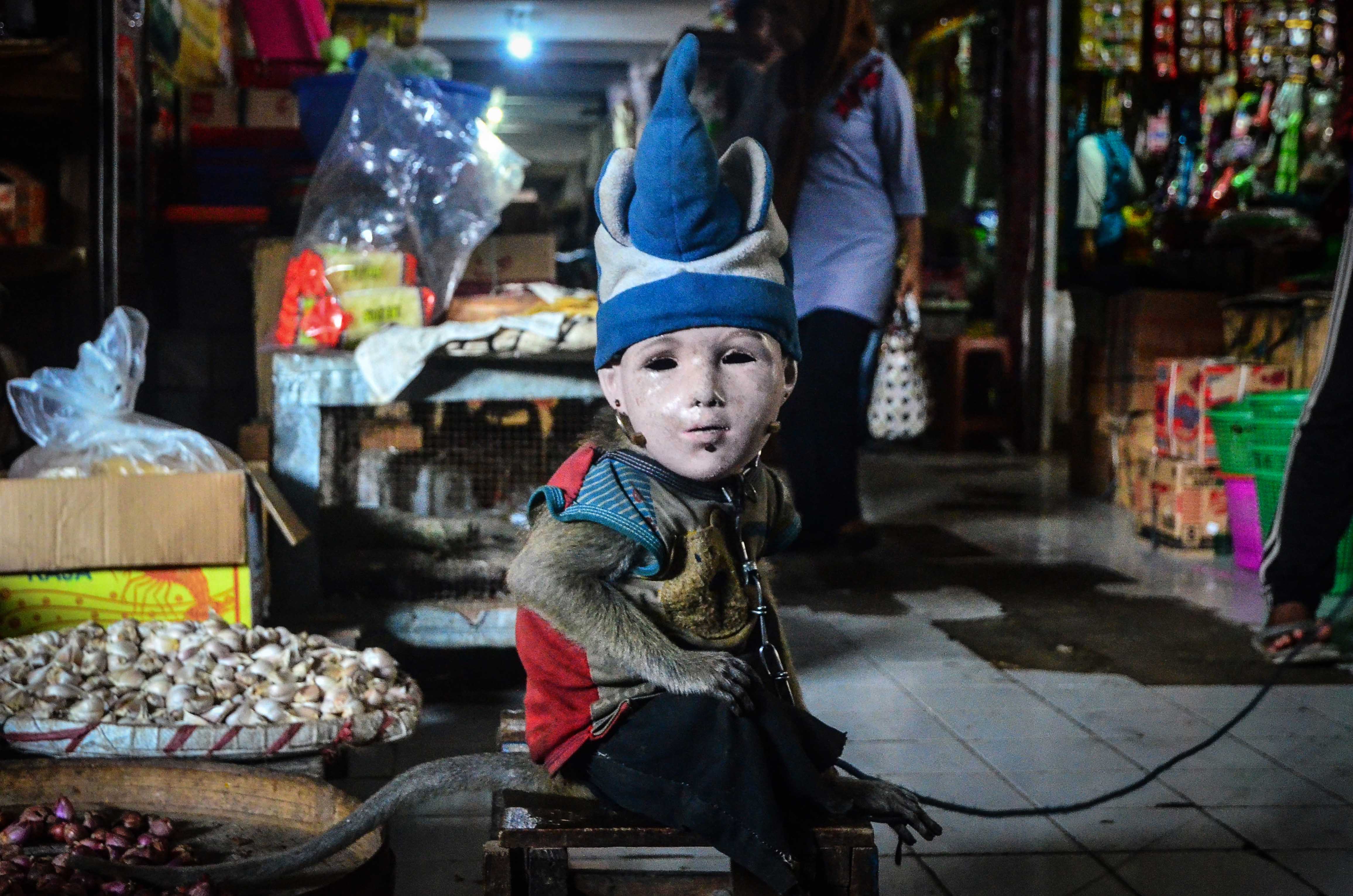 Topeng Monyet Masuk Pasar