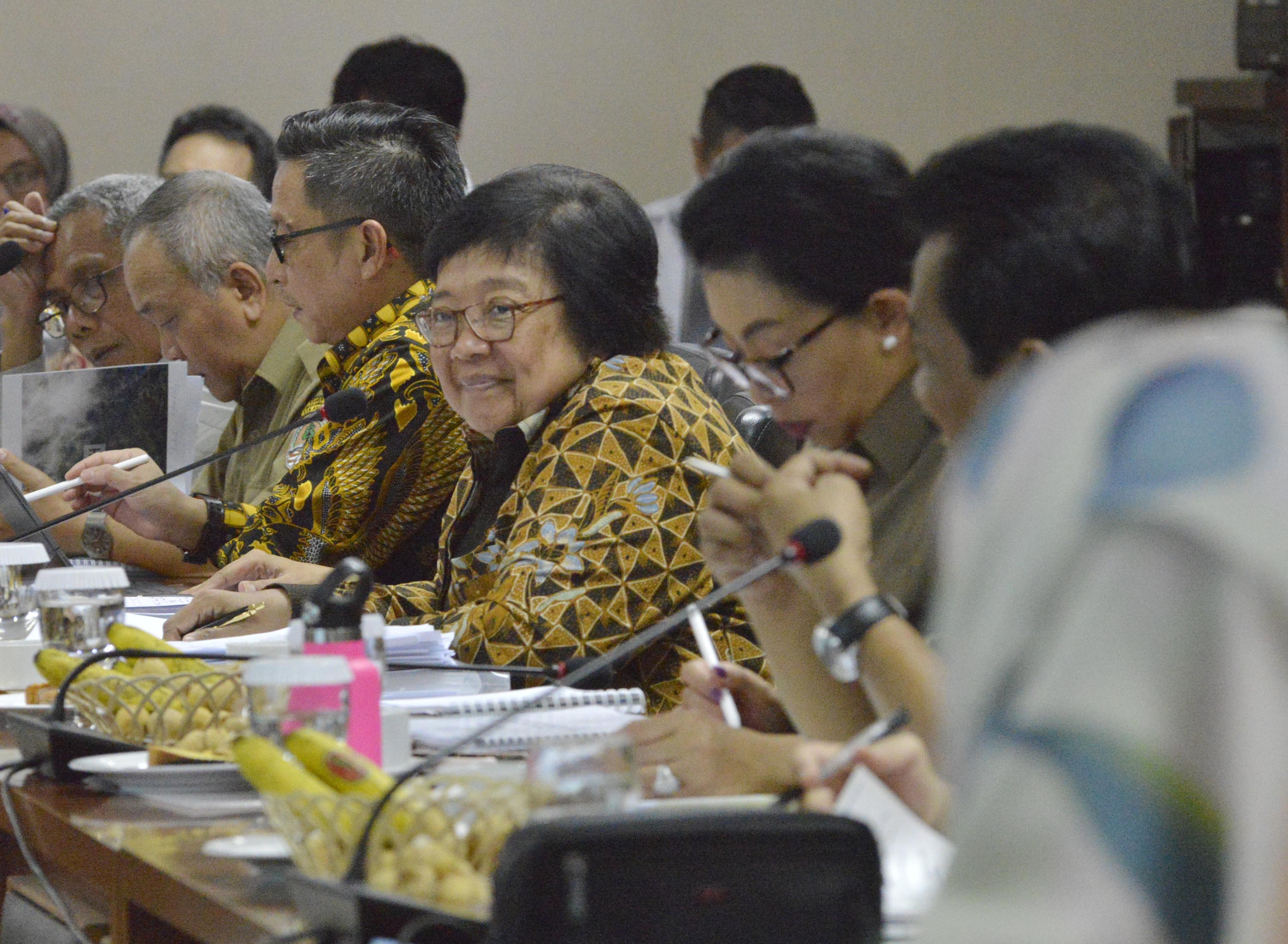 Rapat DPD RI dan Menteri LHK