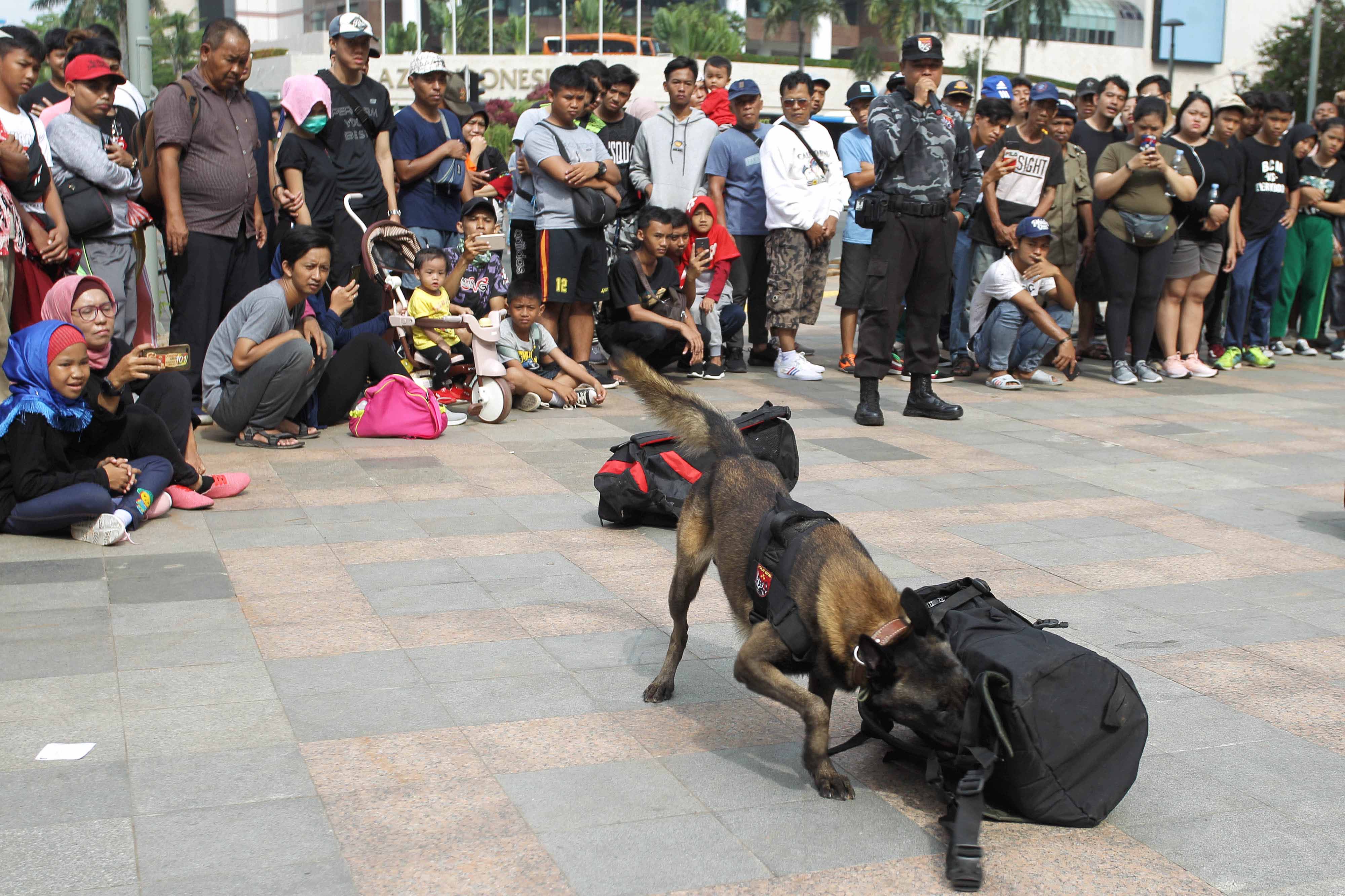 Simulasi Kemampuan Anjing Pelacak