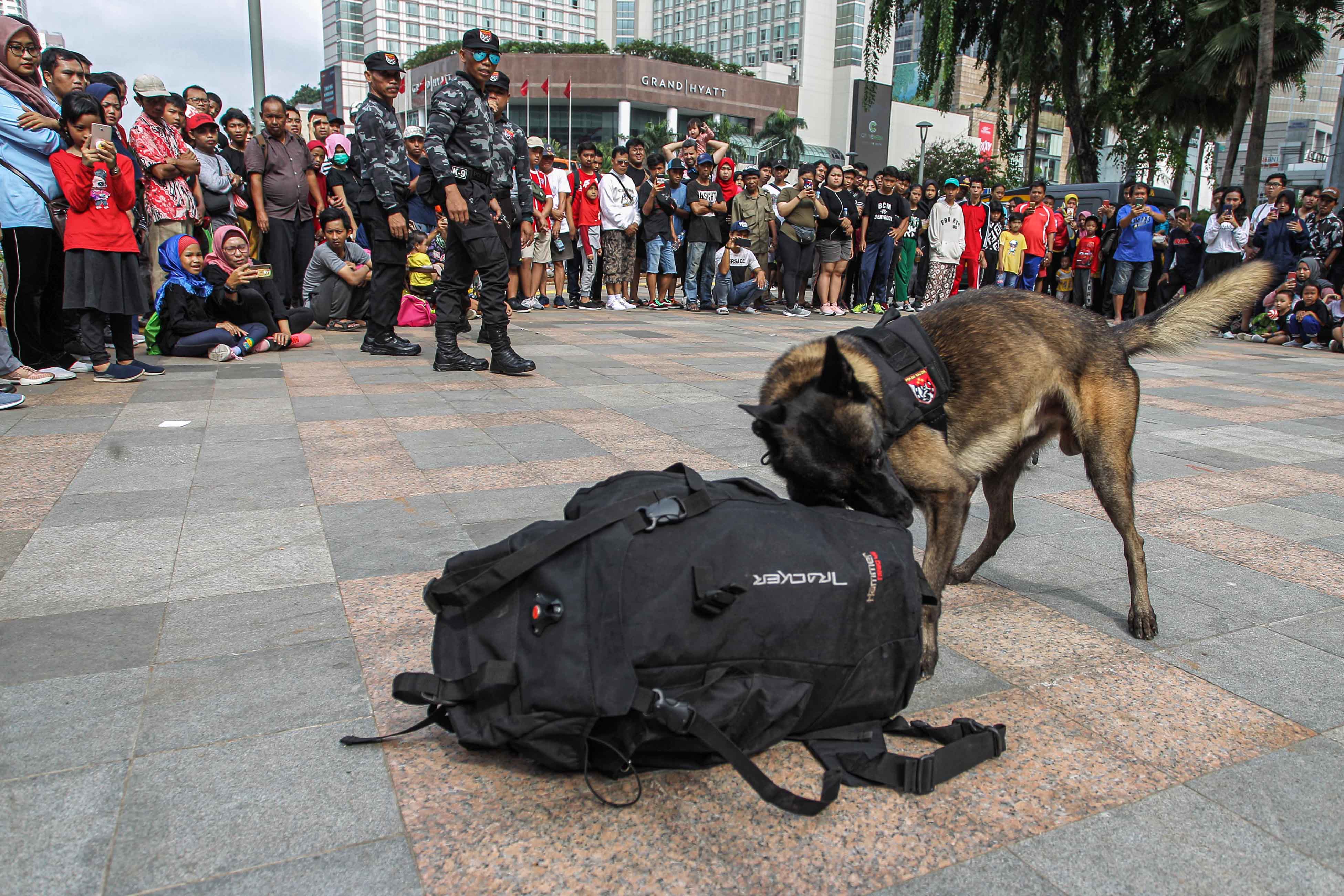 Simulasi Kemampuan Anjing Pelacak