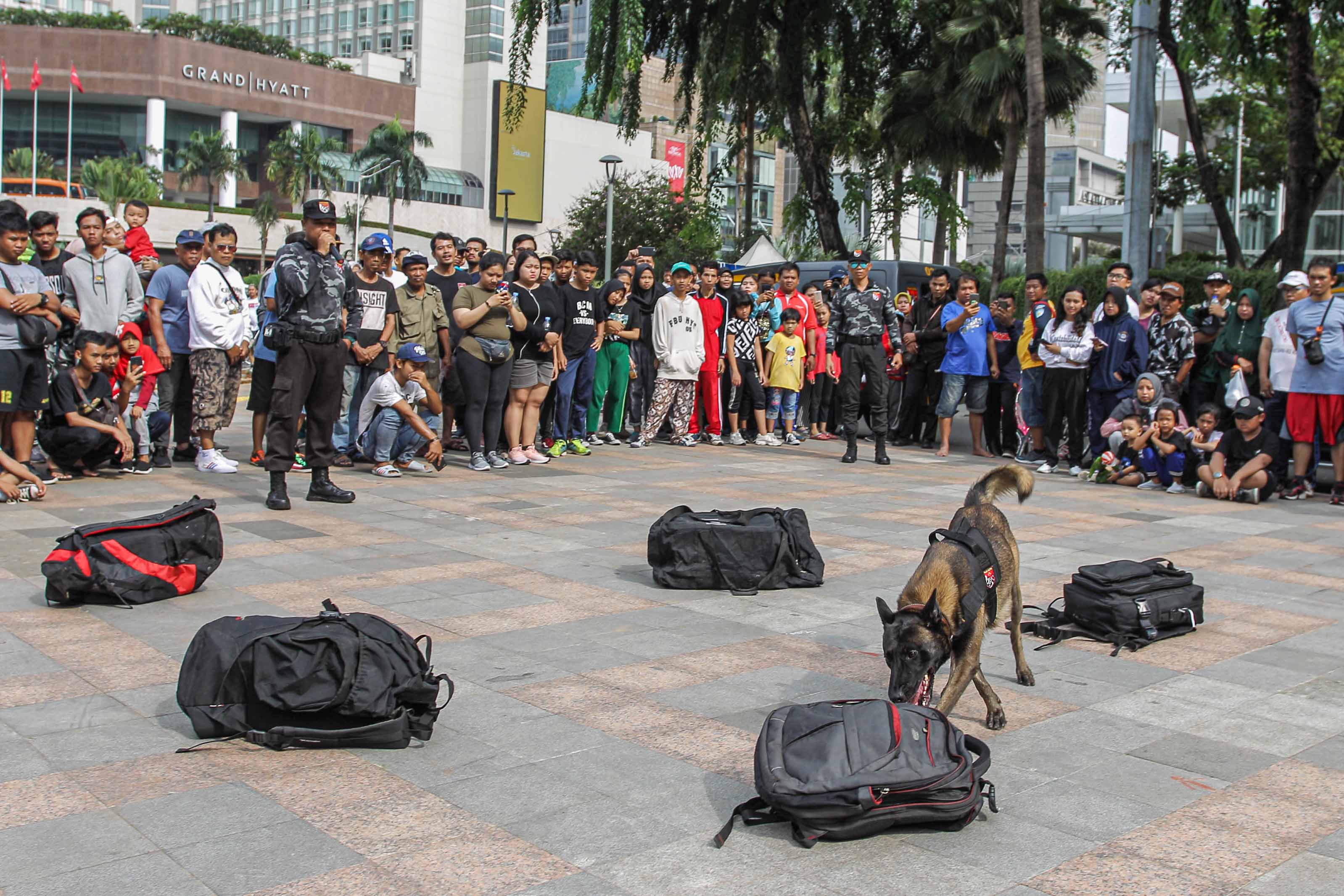Simulasi Kemampuan Anjing Pelacak
