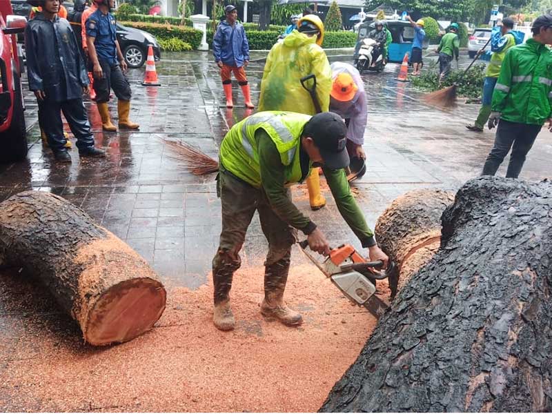 Pohon Seberang Rumah Dinas Gubernur Tumbang