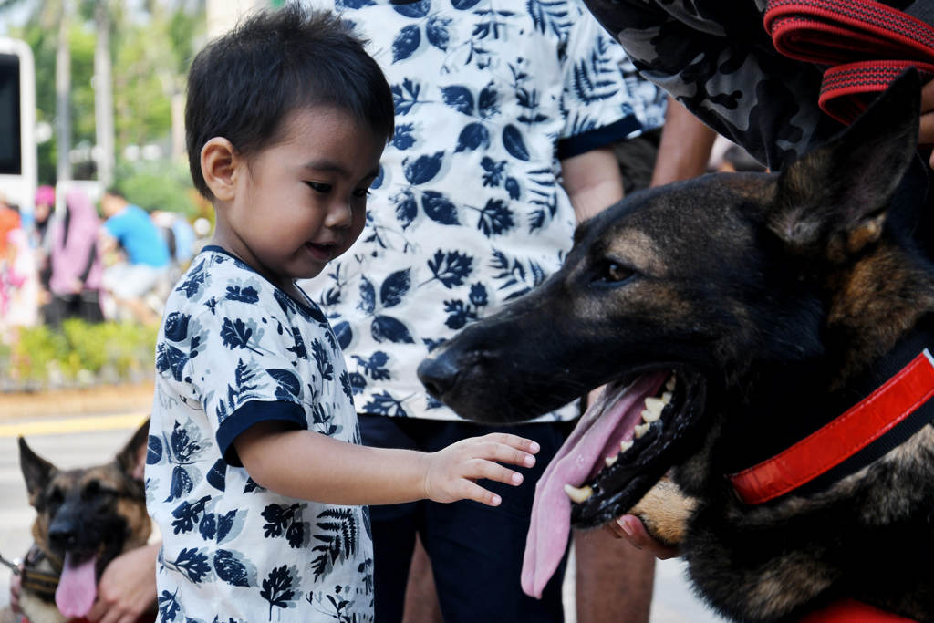 Aksi Anjing Pelacak  K-9