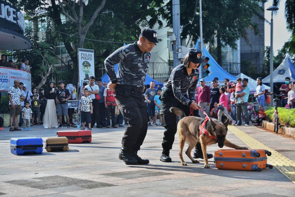 Aksi Anjing Pelacak  K-9