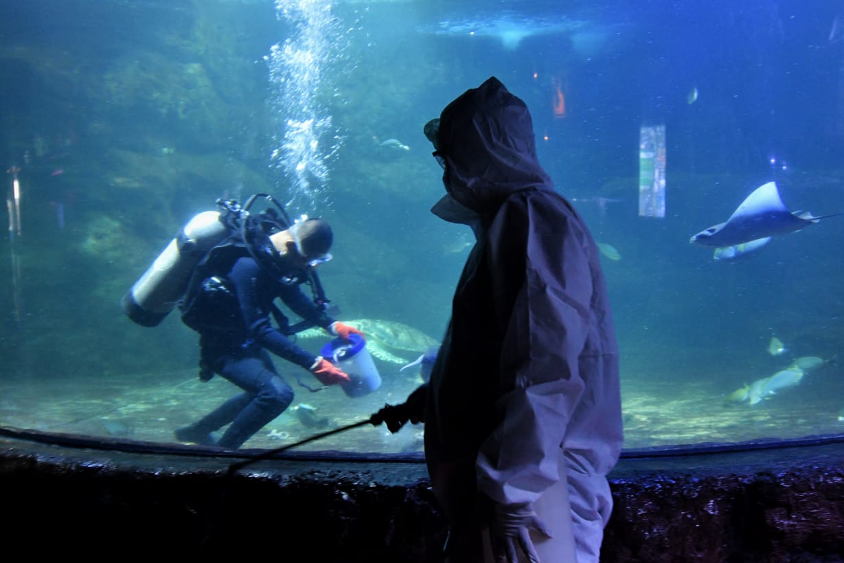 Penyemprotan Cairan Desinfektan Wahana Ancol