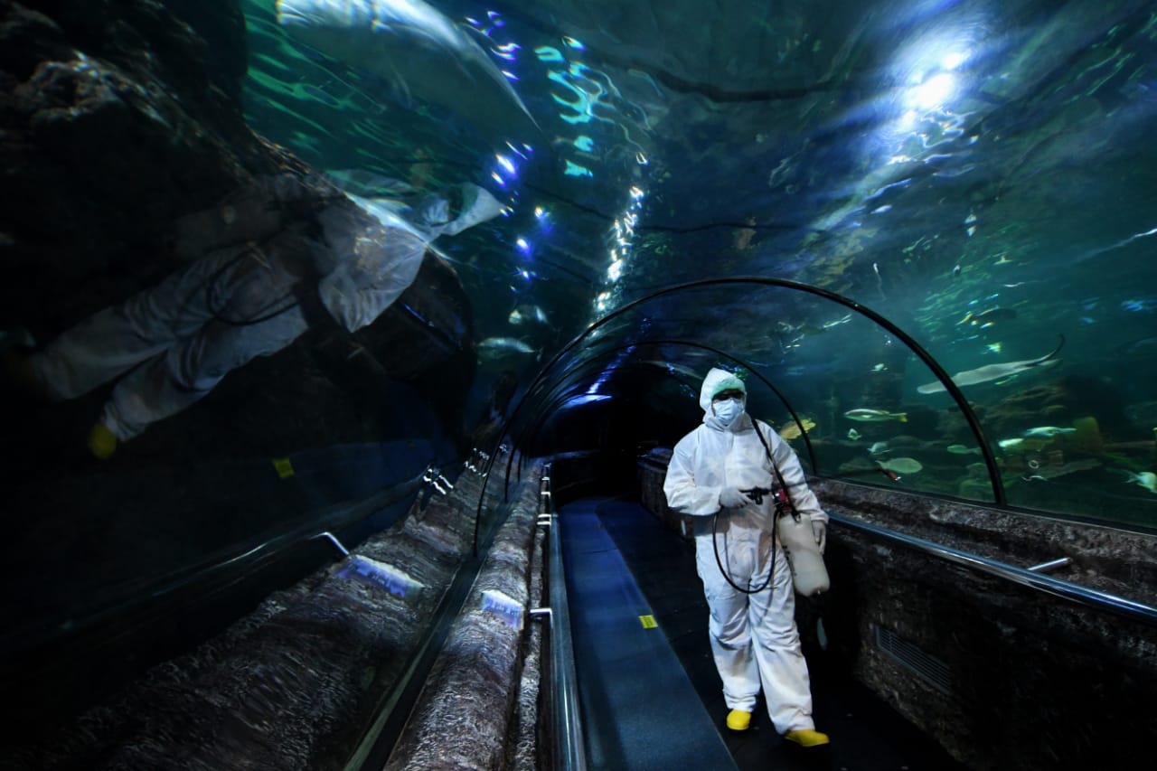 Penyemprotan Cairan Desinfektan Wahana Ancol