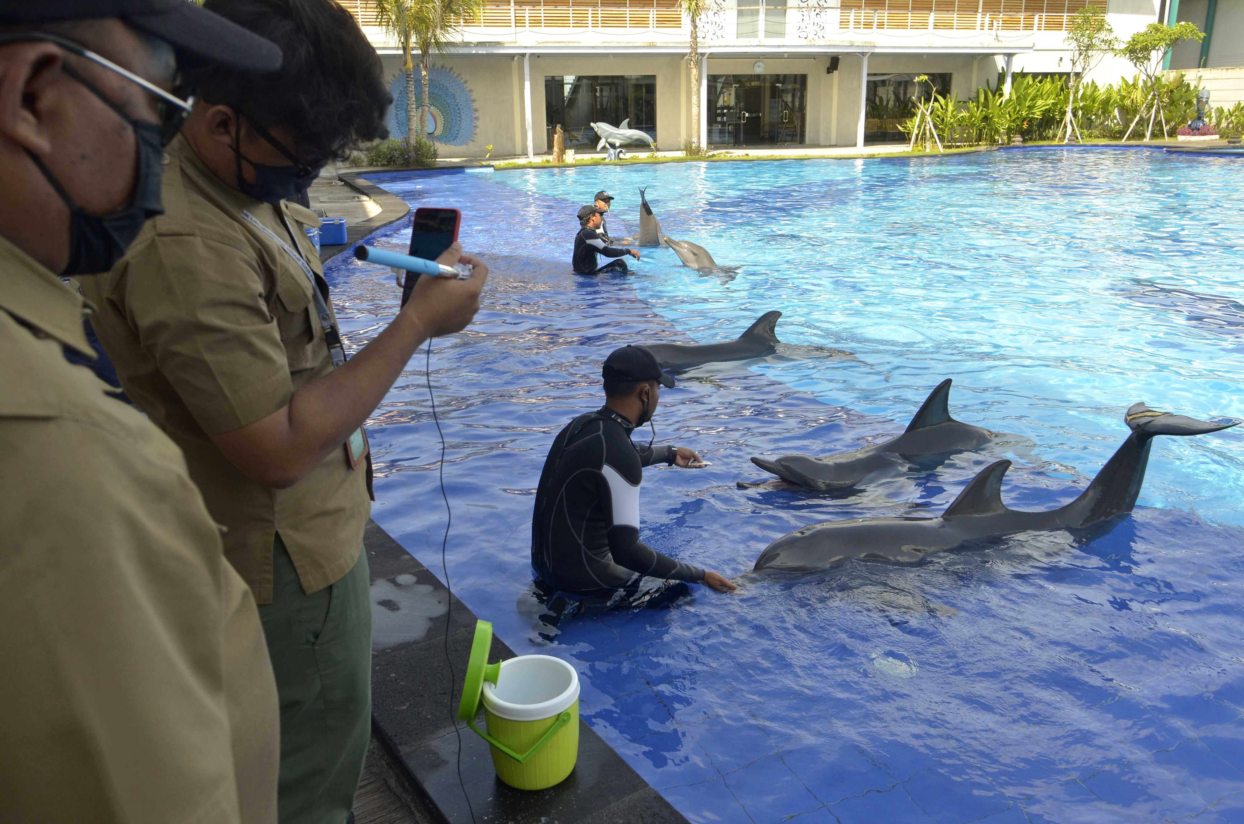 Perawatan Satwa di Lembaga Konservasi