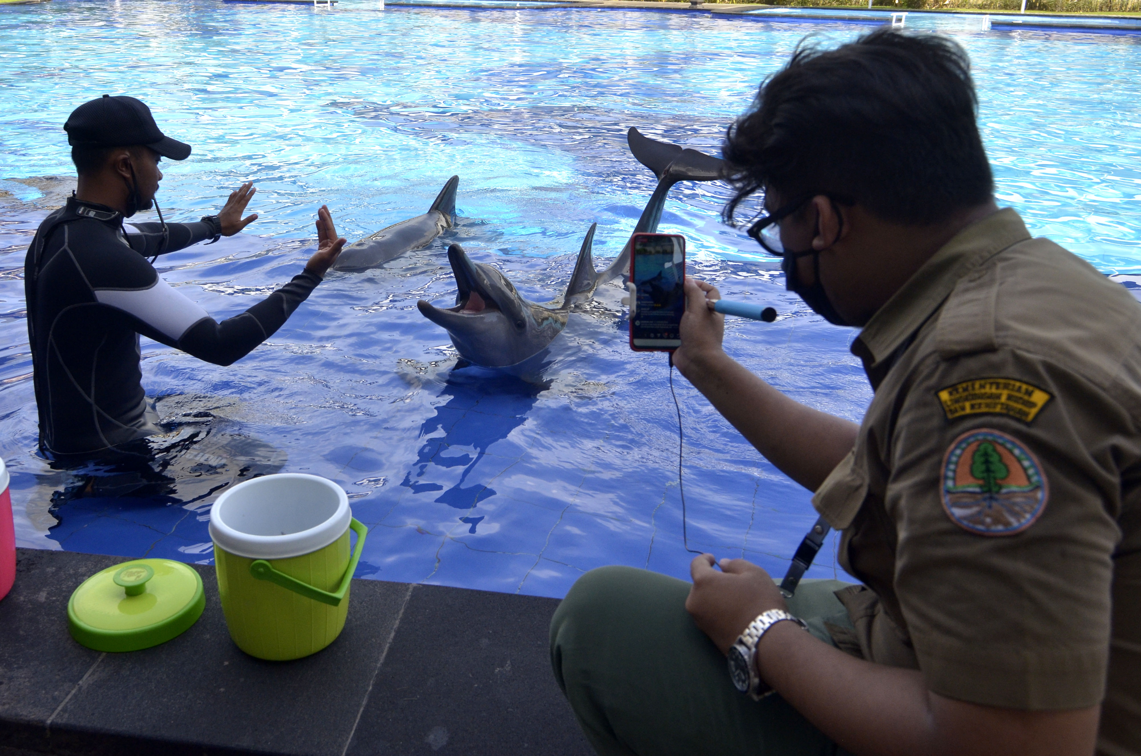 Perawatan Satwa di Lembaga Konservasi