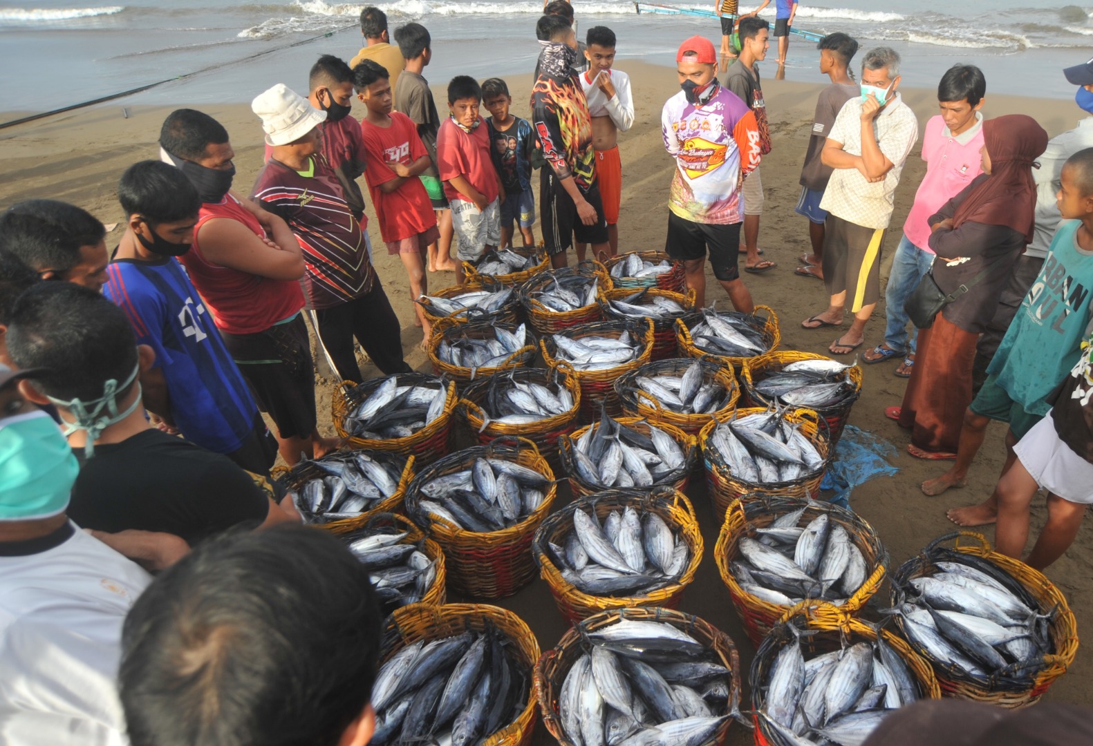 Harga Ikan Turun Dampak Pandemi Covid-19 