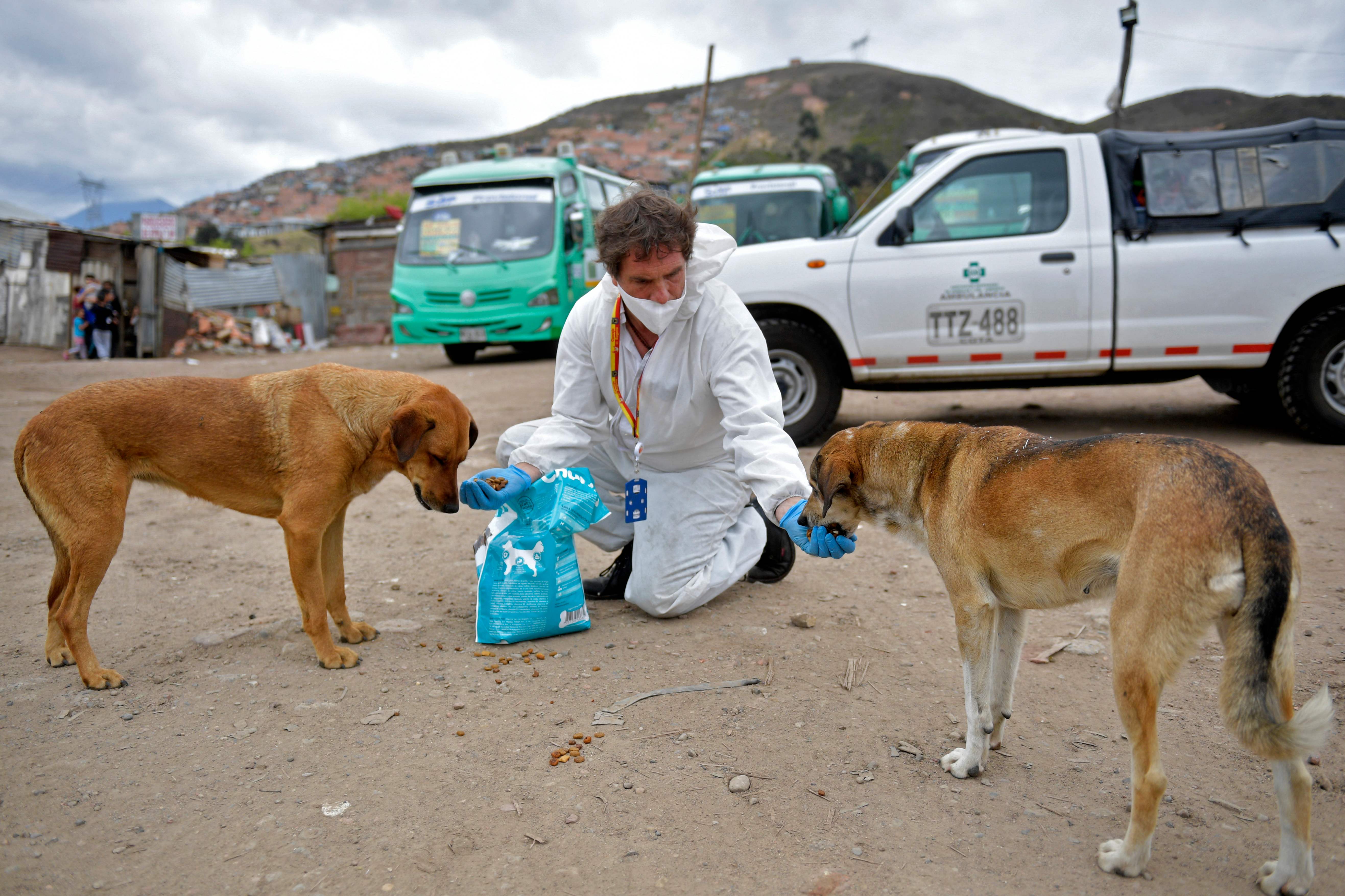 Aksi Penyelamatan Binatang 