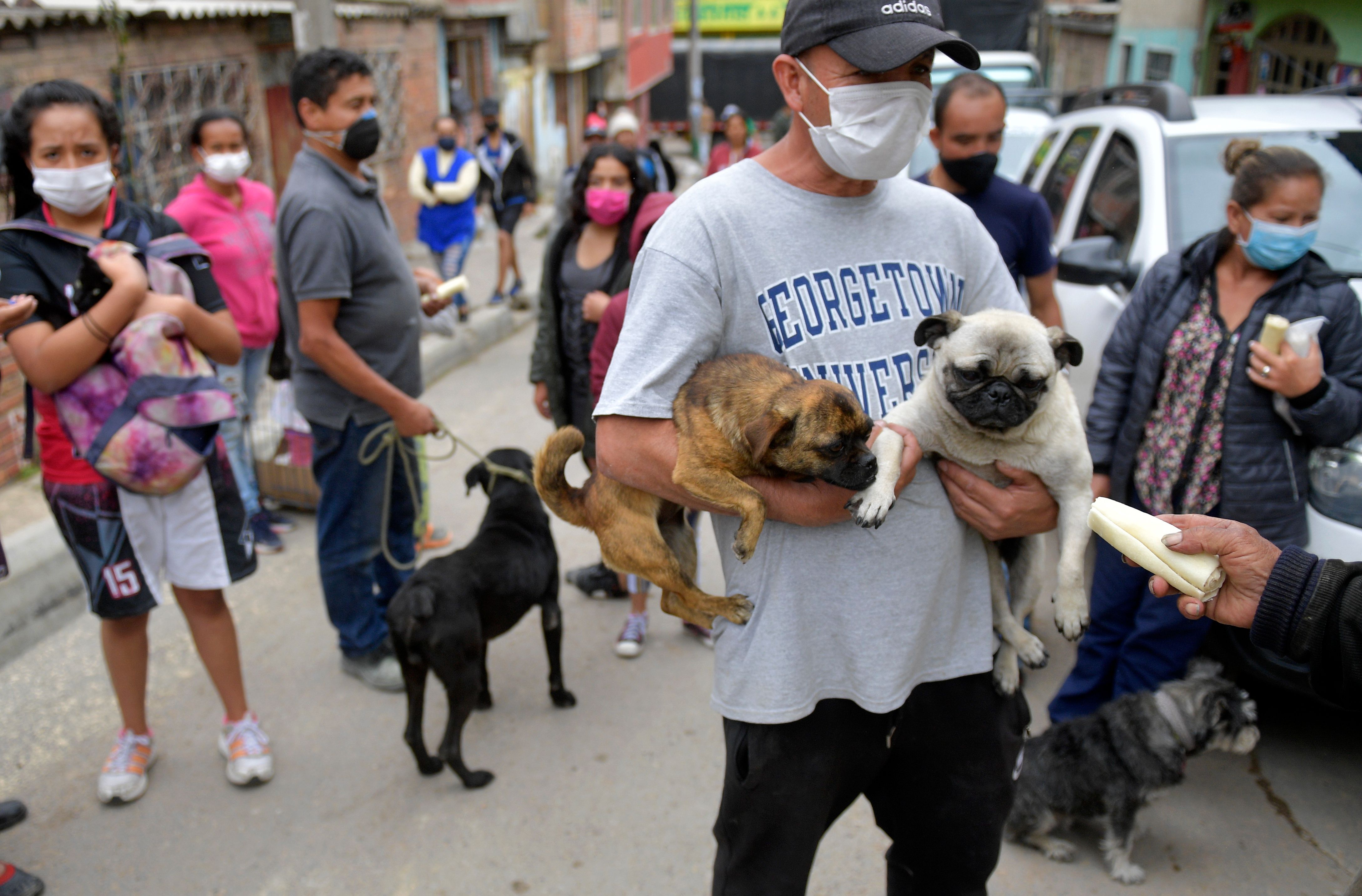 Aksi Penyelamatan Binatang 
