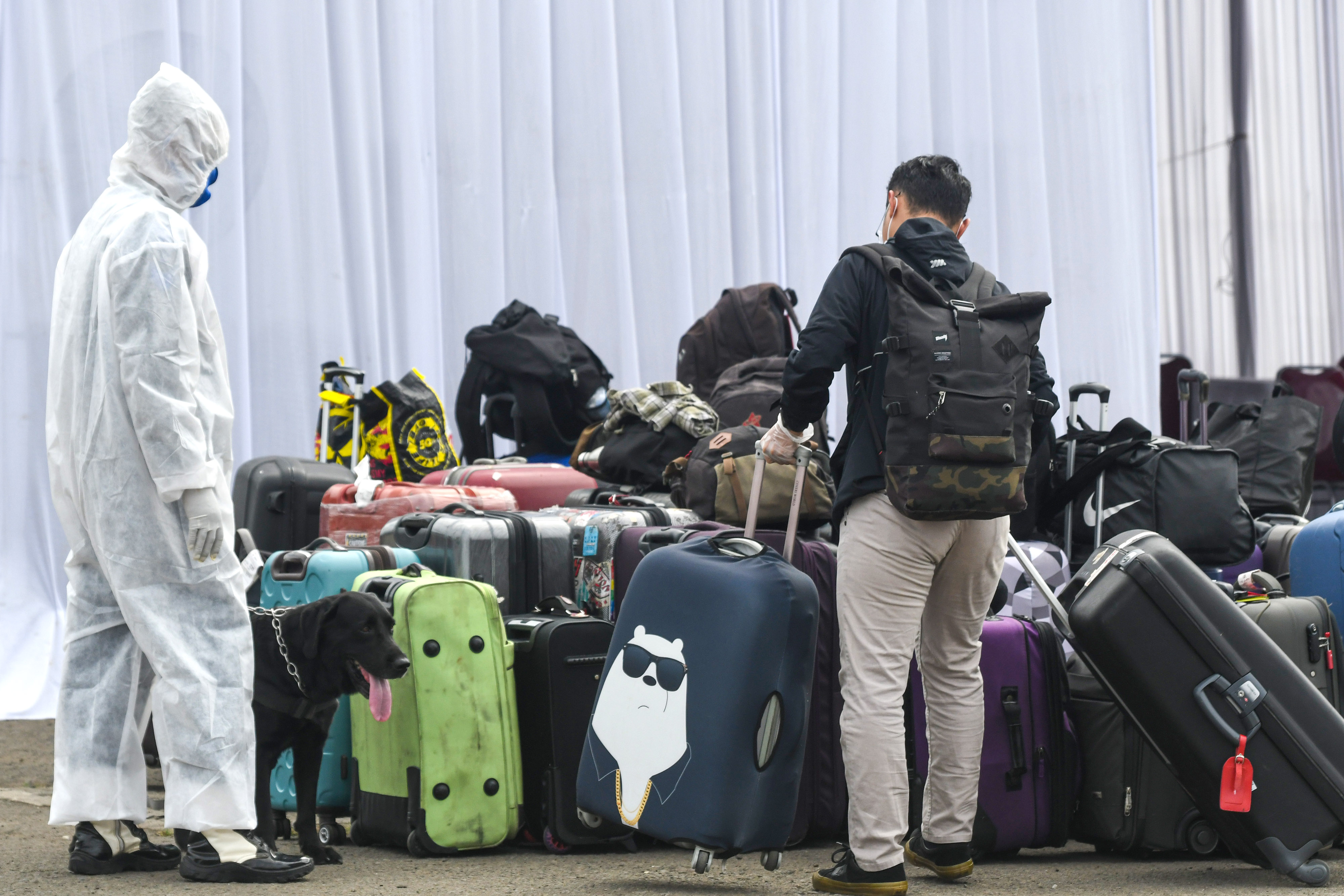 ABK Kapal Pesiar MV Viking Orion Tiba di Jakarta