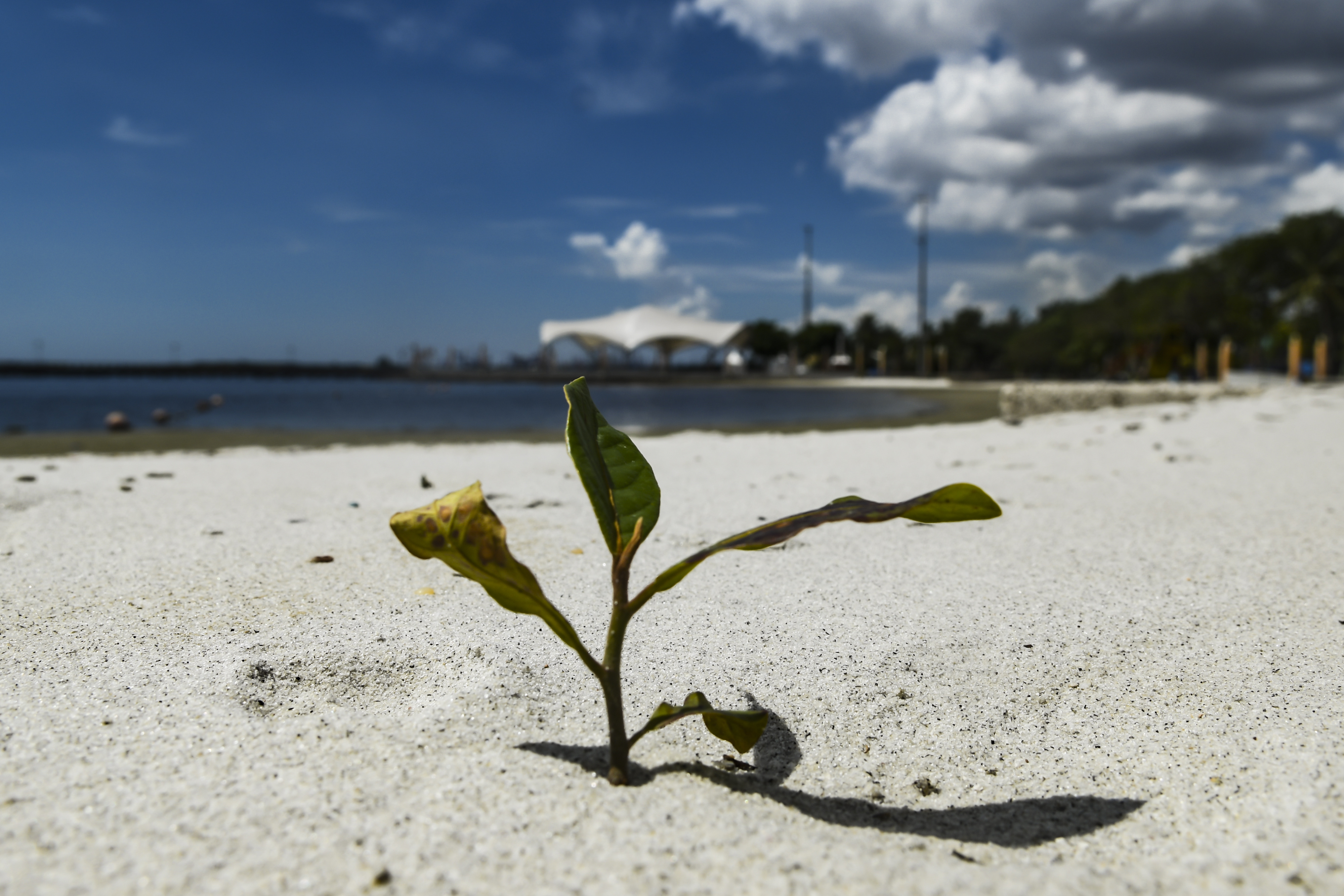 Pantai Ancol Masih Ditutup