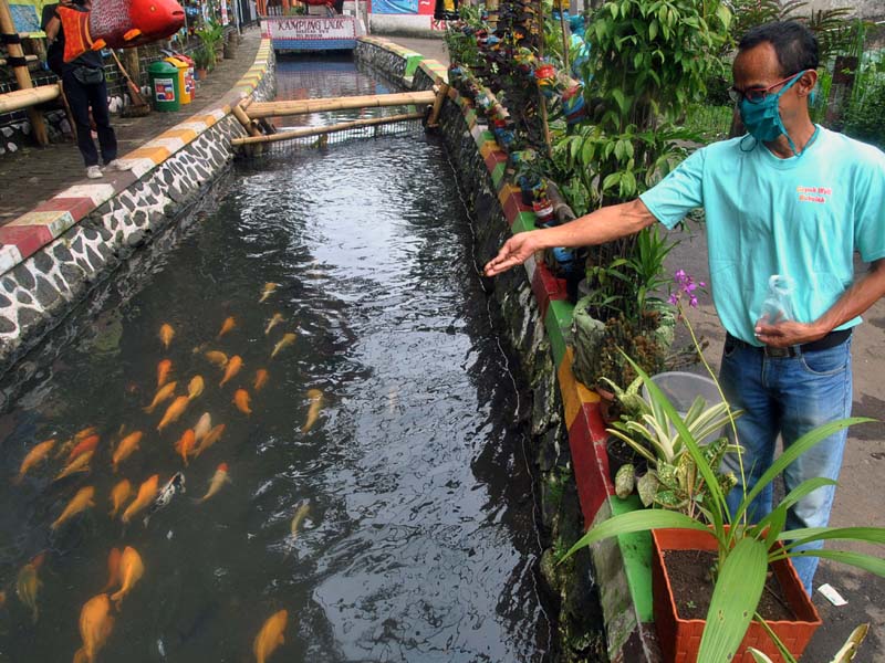 Kampung Lauk Di Kota Bogor