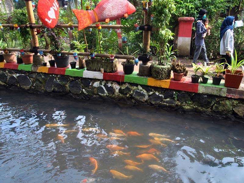 Kampung Lauk Di Kota Bogor