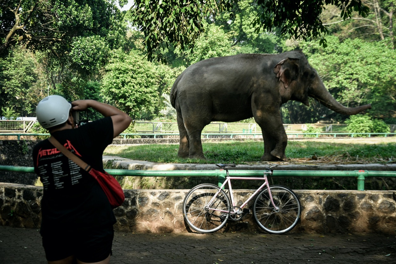 Ragunan Sepi Pengunjung
