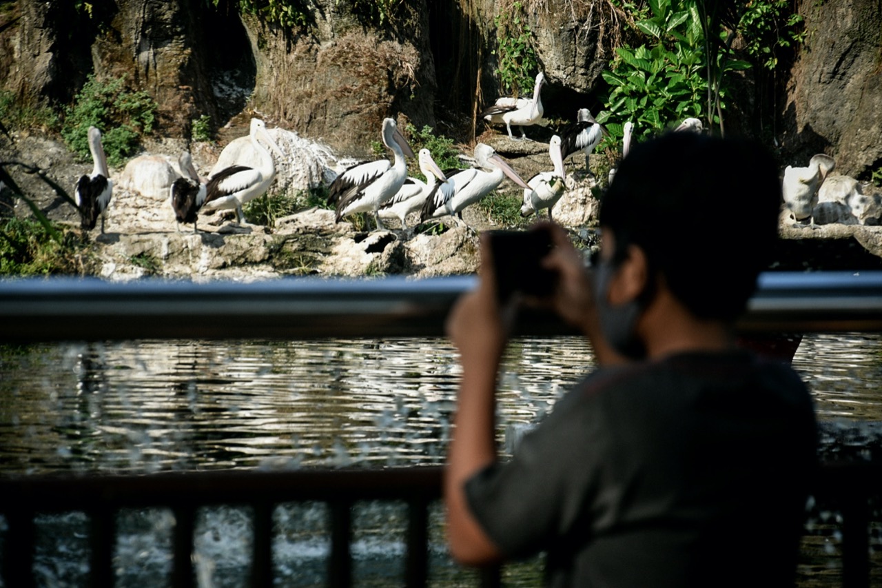 Ragunan Sepi Pengunjung