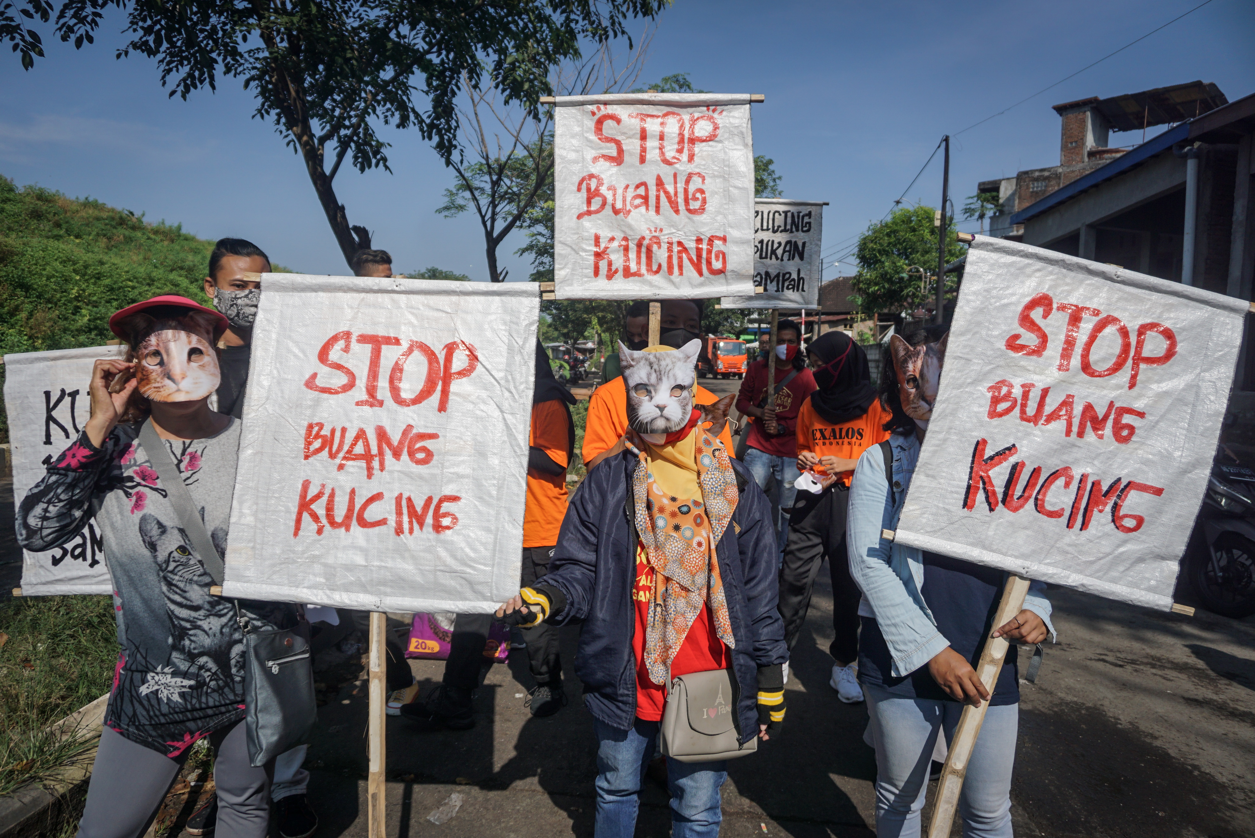 Stop Membuang Kucing