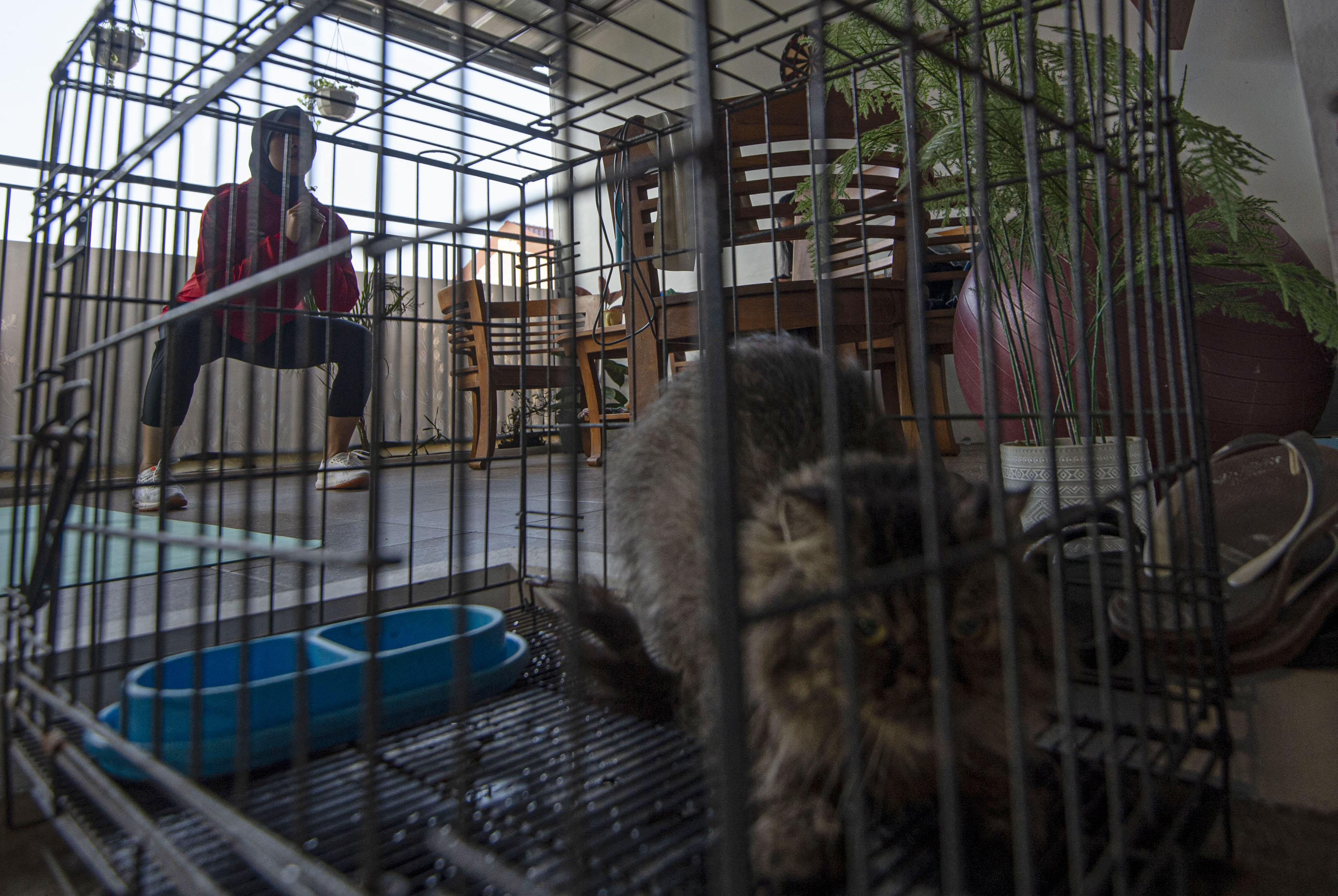 Latihan Mandiri Taekwondoin Defia Rosmaniar